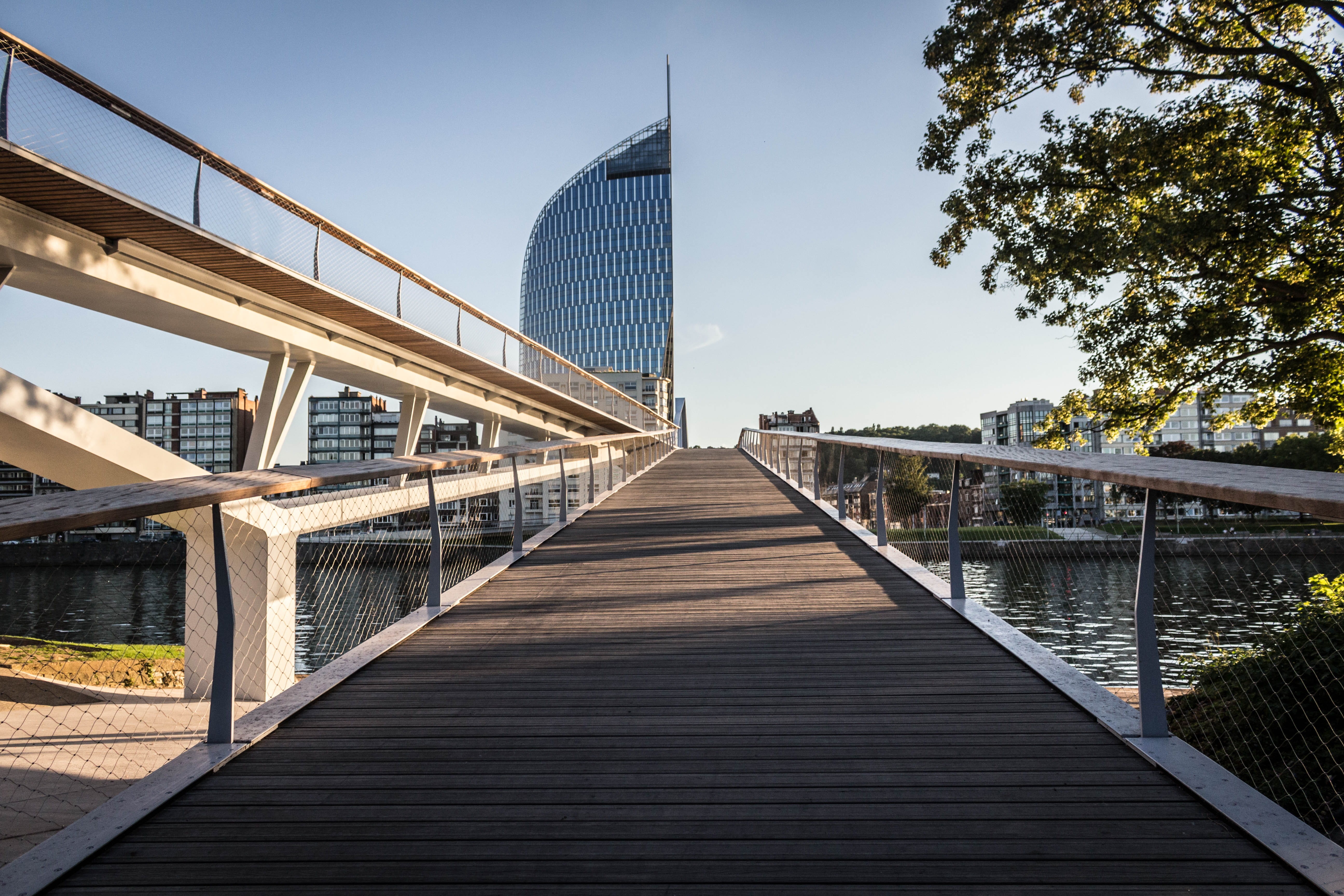 travel, direction, architecture, tree, city, park, green, parc de la boverie, built structure, nature, transportation, urban, europe, sky, liège, the way forward, HD Wallpaper