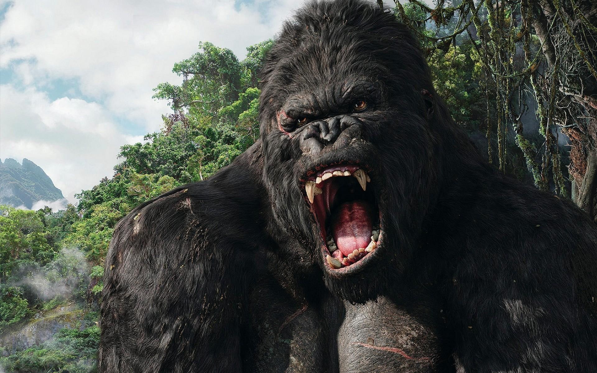 kong, 1080P, king, movies, HD Wallpaper