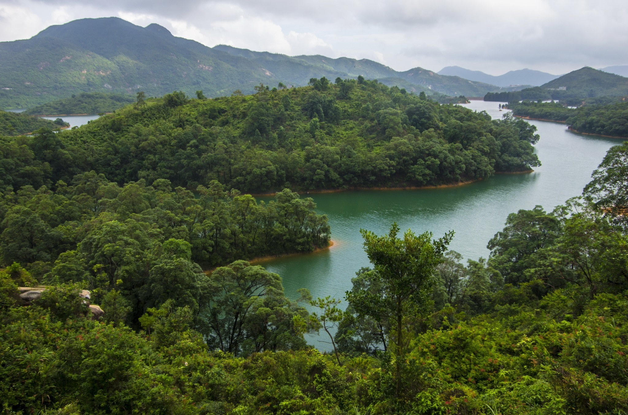 1080P, kong, China, forest and mountains, river, hong, Hong Kong, HD Wallpaper