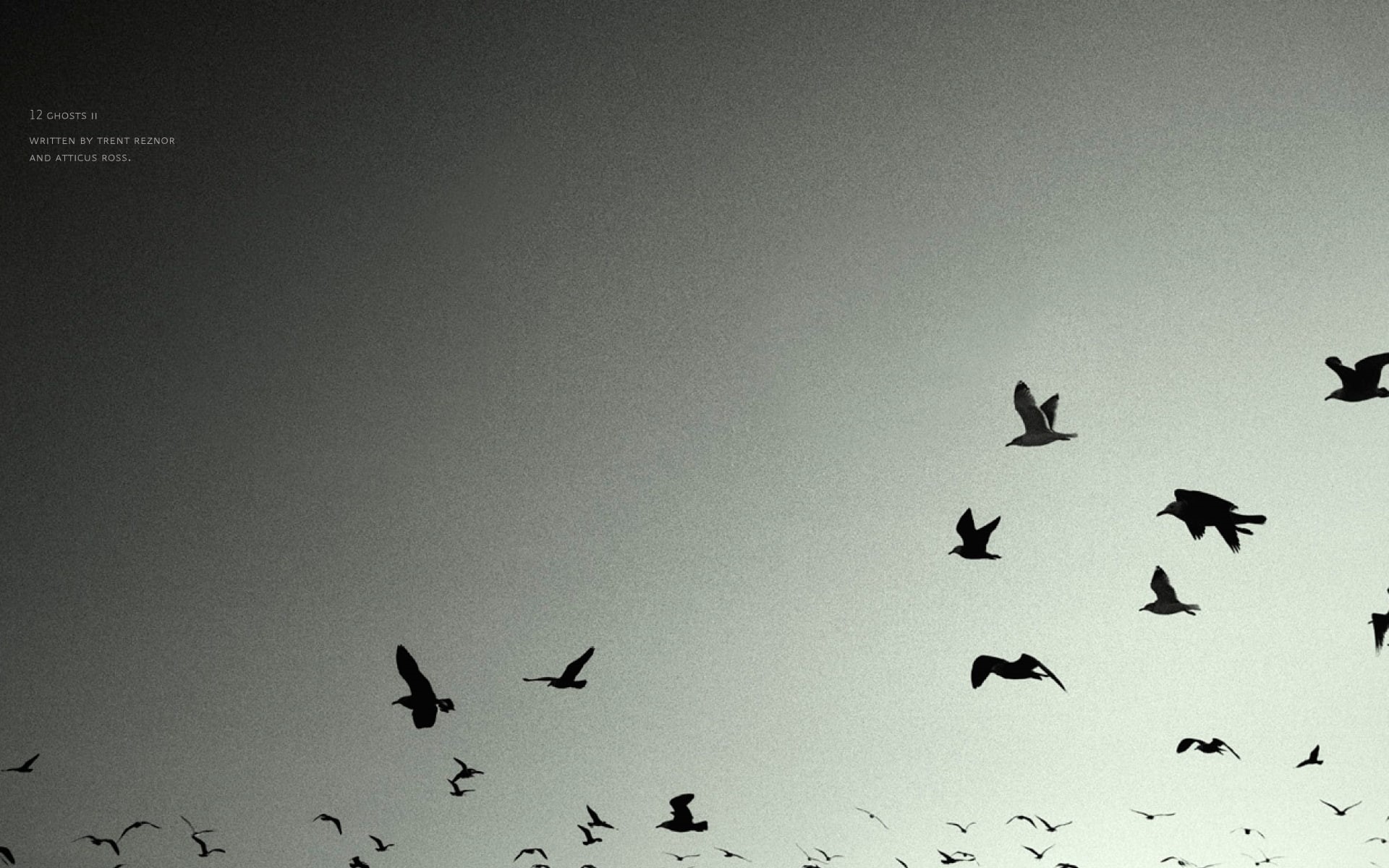 inch, bird, nine, music, flocks, hd, 1080P, nails, HD Wallpaper