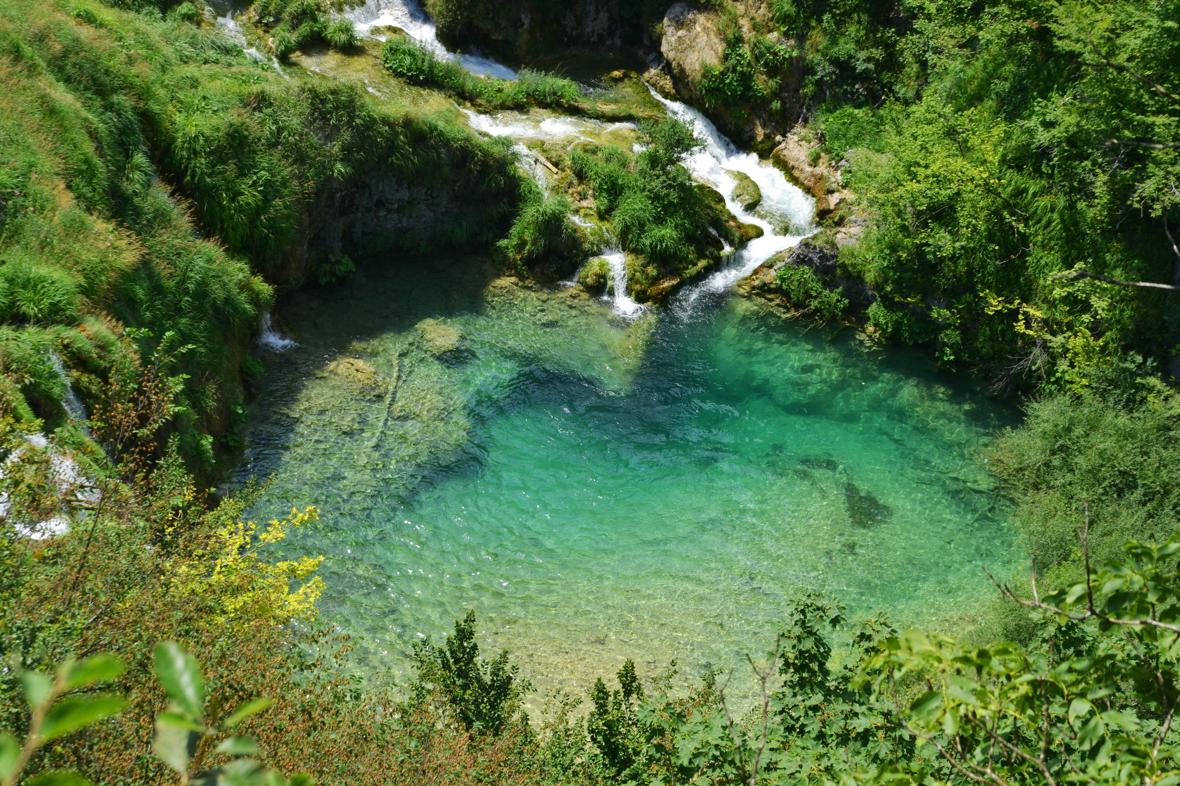 tranquil scene, croatia, scenics - nature, waterfall, plitvice lakes, non-urban scene, tree, turquoise, unesco world heritage, moisture, turquoise colored, HD Wallpaper