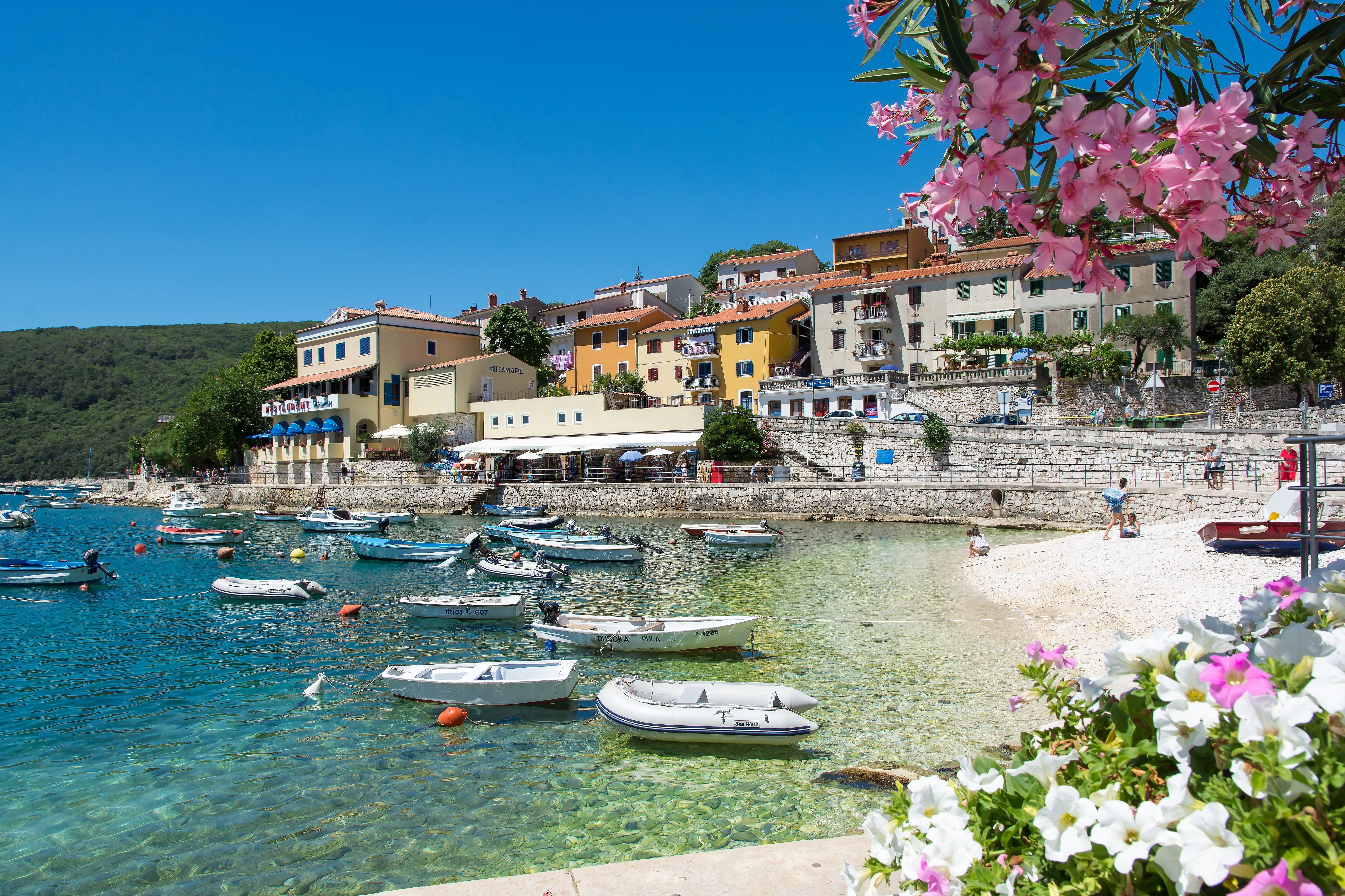 travel destinations, flowering plant, architecture, plant, clear sky, 5K, built structure, waters, nature, old town, day, travel, building exterior, croatia, HD Wallpaper