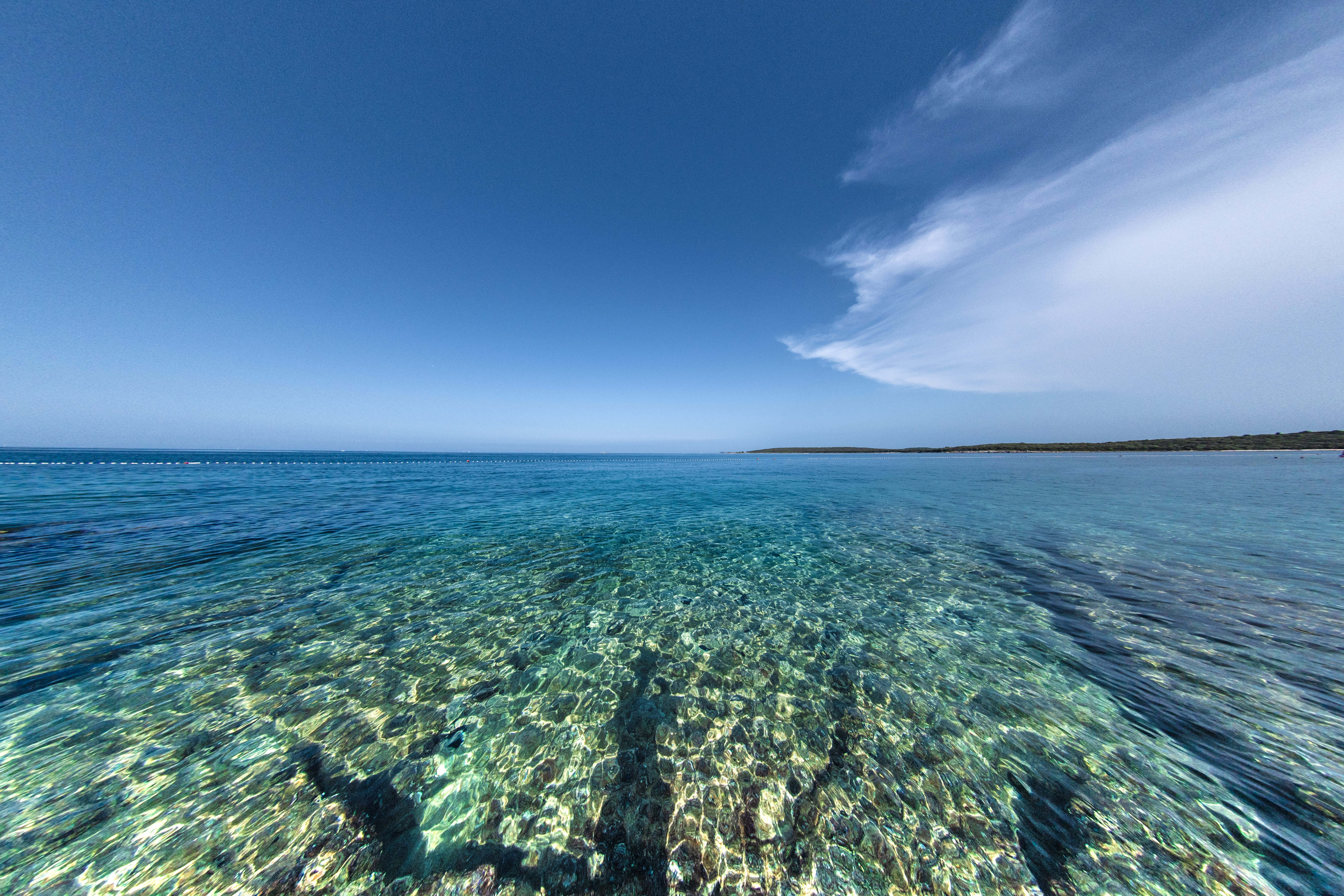 nature, beauty in nature, croatia, blue, animal, no people, sea life, scenics - nature, horizon, animals in the wild, istria, istria county, tranquility, HD Wallpaper