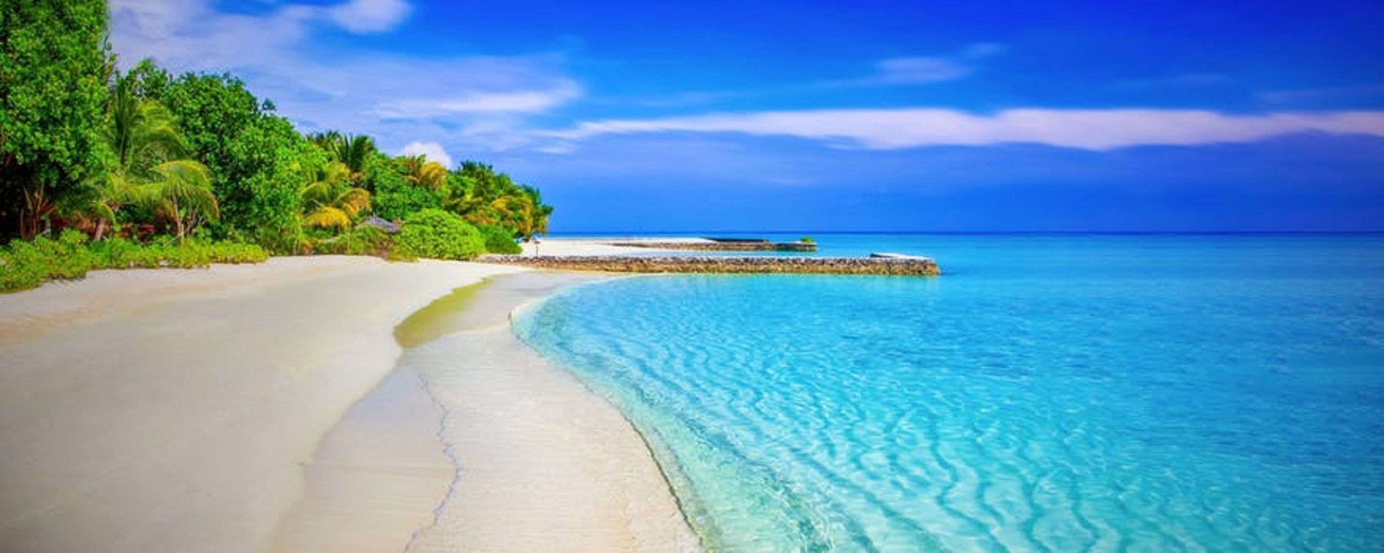 tahiti, travel destinations, island, tropical climate, lagoon, tree, bay, no people, turquoise colored, nature, horizon over water, tropical tree, outdoors, HD Wallpaper