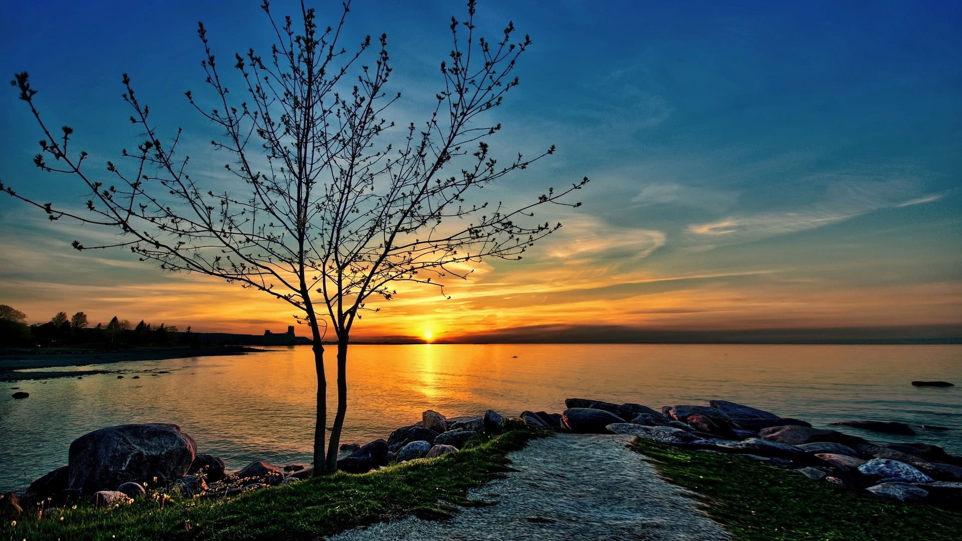 tree, tranquility, tranquil scene, land, orange color, yellow, trees, solid, nature, sea, black, water, outdoors, scenics - nature, HDR, rock - object, HD Wallpaper