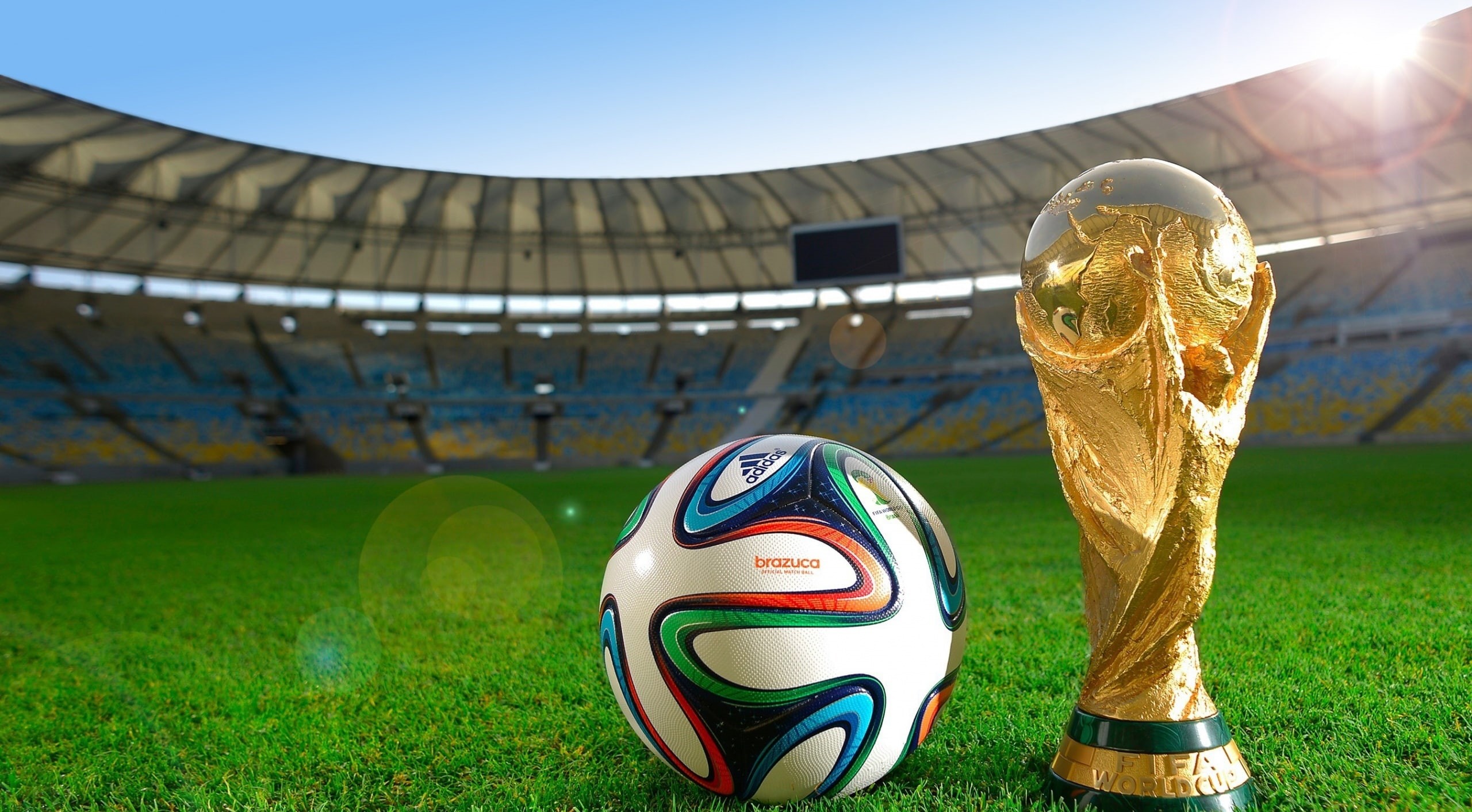 white, 20th fifa world cup, no people, th, blue, sport, soccer, sports equipment, cup, 2014, Sports, plant, grass, day, purple, Fifa, black, multi colored, HD Wallpaper