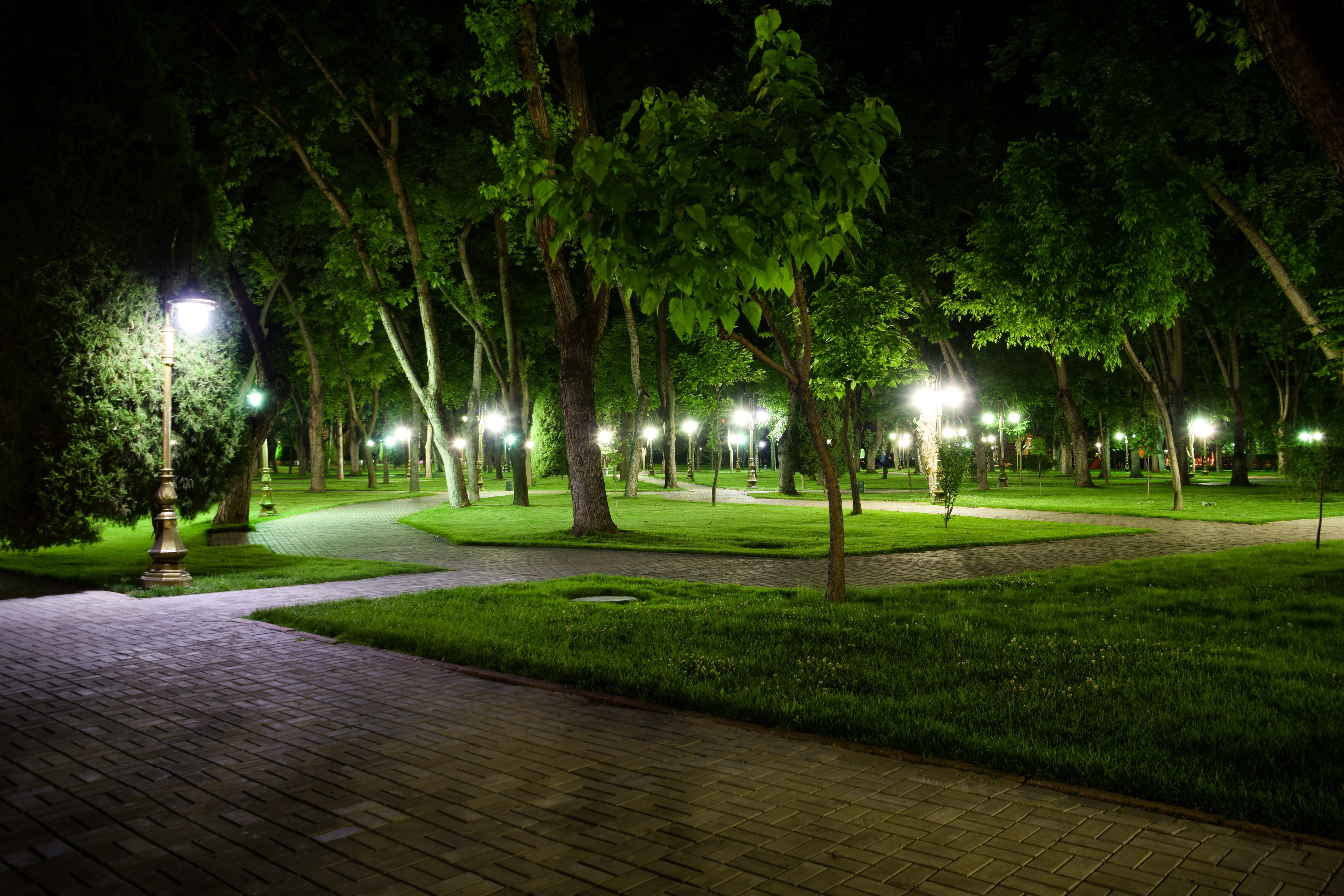 street, illuminated, tree, green, grass, outdoors, night, footpath, green color, beauty in nature, nature, plant, leafed, park - man made space, lot, land, HD Wallpaper