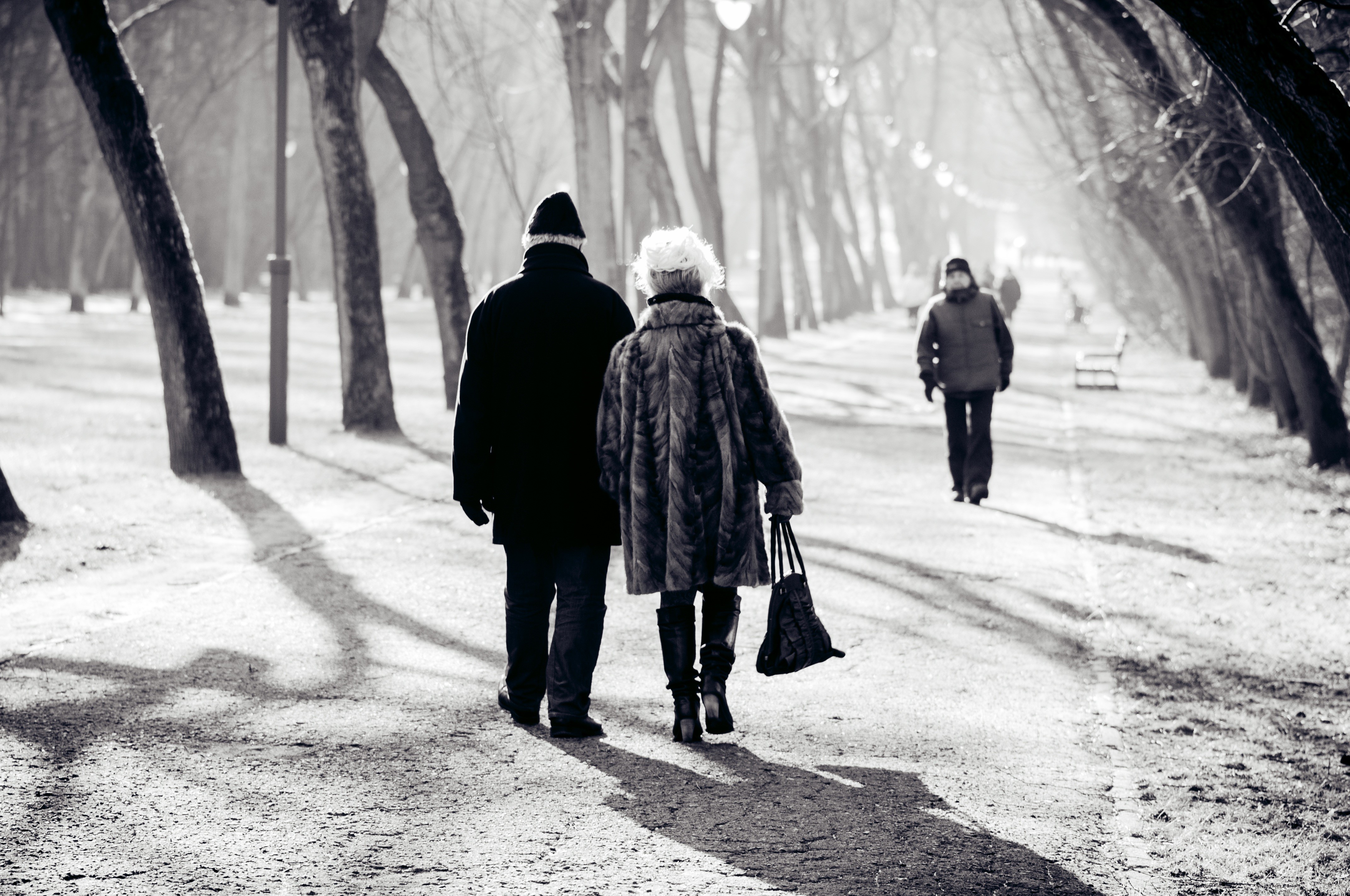 mature, couple walking, nature, senior couple, snow, men, winter, grayscale, man, people, real people, holding, walking, outdoors, group of people, trees, HD Wallpaper