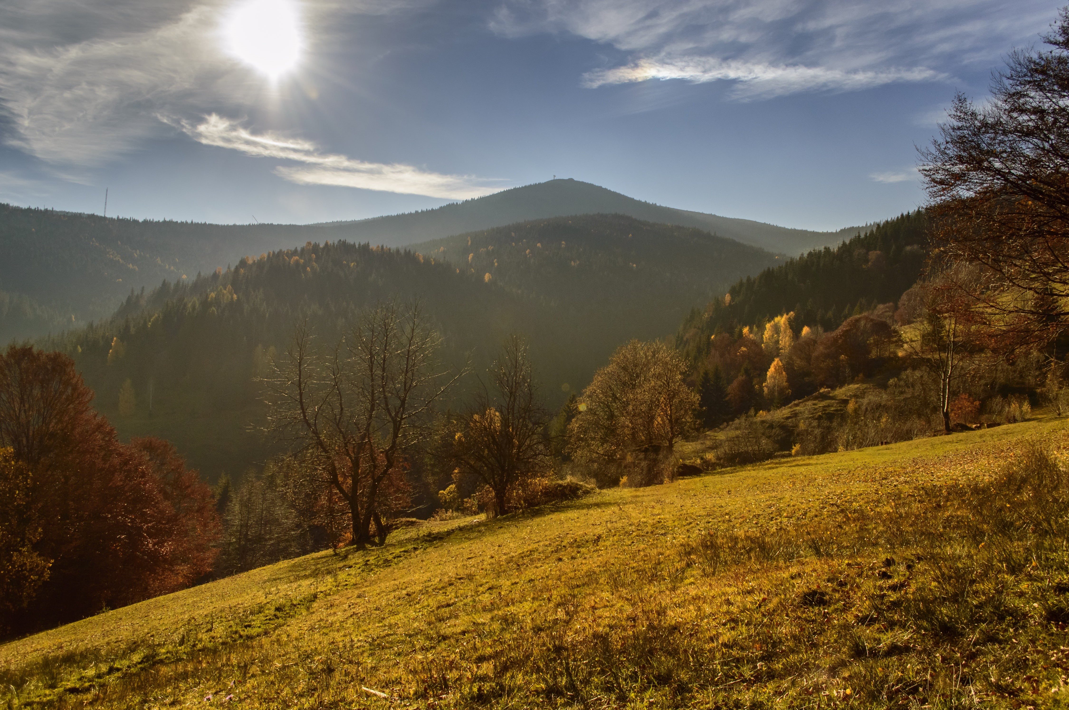 outdoors, scenery, mystery, wild, red, apuseni, foliage, sunrise, walk, meadow, park, field, change, 4K, sunset, tranquil scene, yellow, beauty In Nature, HD Wallpaper