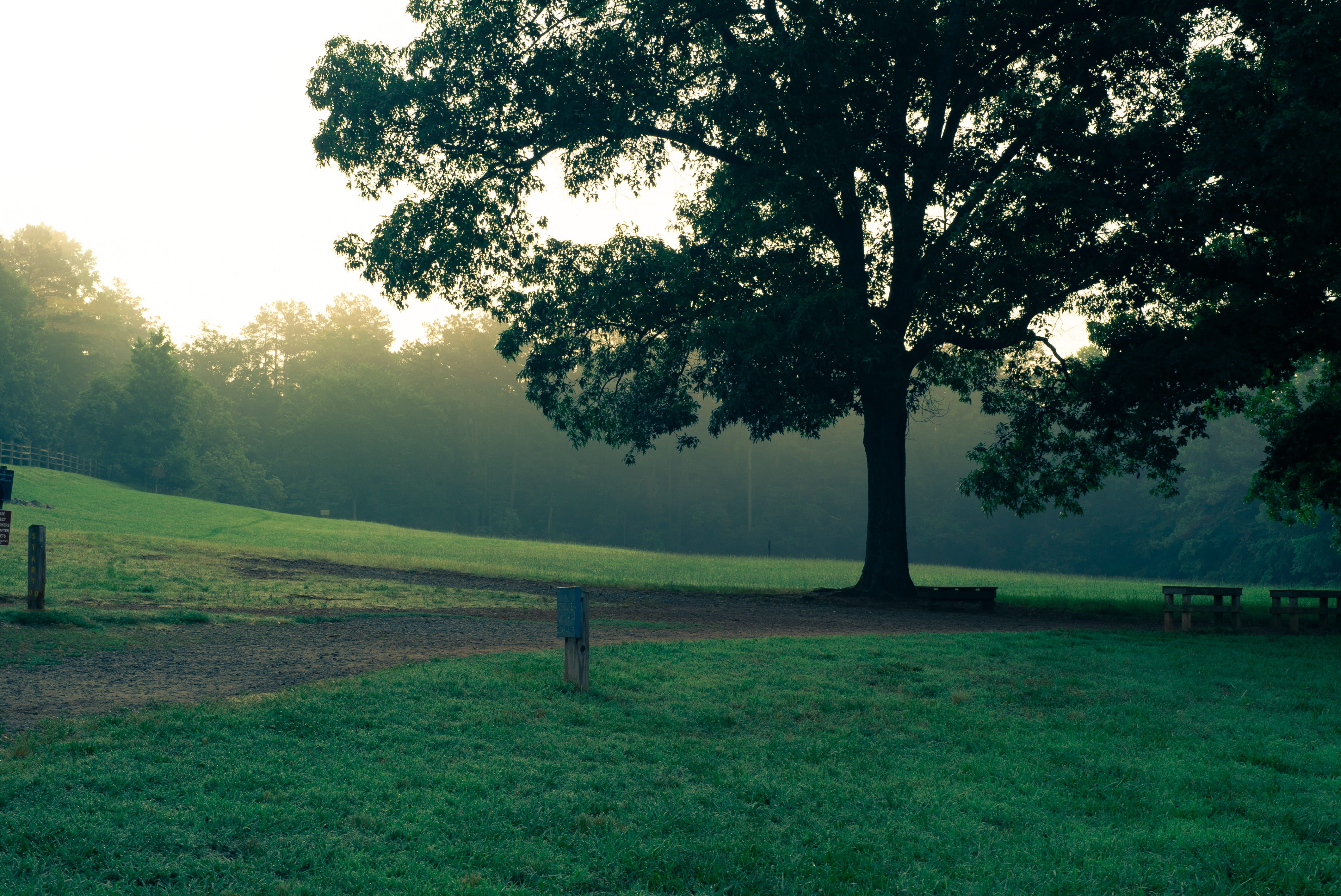spring, tranquil scene, growth, tree, seat, land, plant, path, tree trunk, landscape, day, golden hour, park bench, farm, beauty in nature, sky, green color, HD Wallpaper