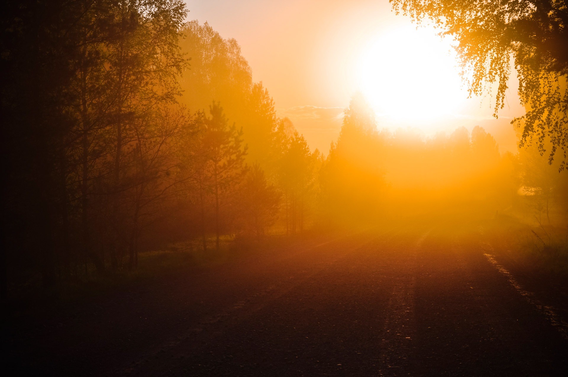 sunlight, colorful, scenic, the way forward, sky, sunbeam, change, dawn, paths, road, sunrise - Dawn, direction, forest, star, lens flare, morning, growth, HD Wallpaper