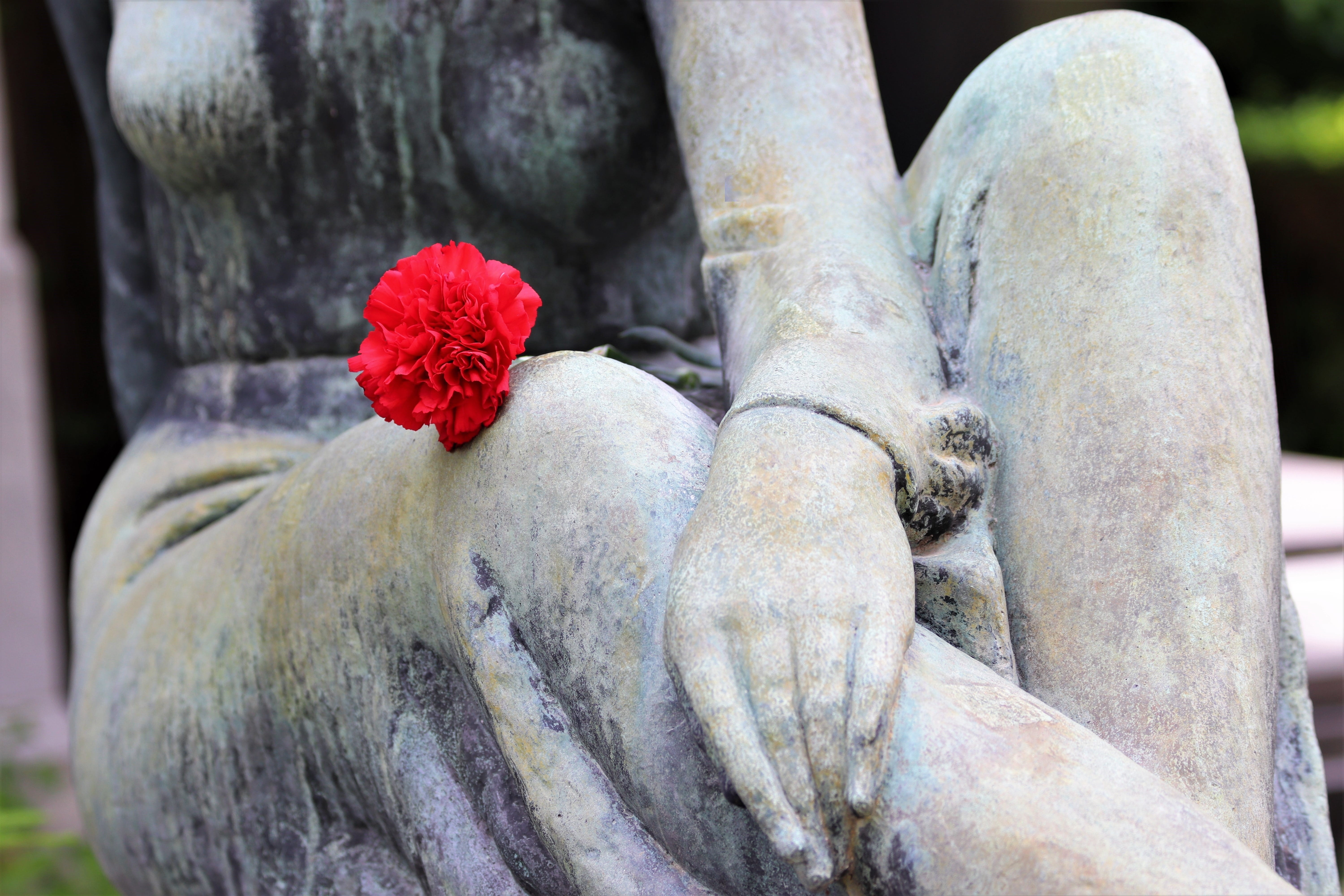 plant, emotion, stone, focus on foreground, solid, zagreb, flower, cemetery mirogoj, grave, woman, tree, outdoors, flowering plant, outdoor, sculpture, HD Wallpaper