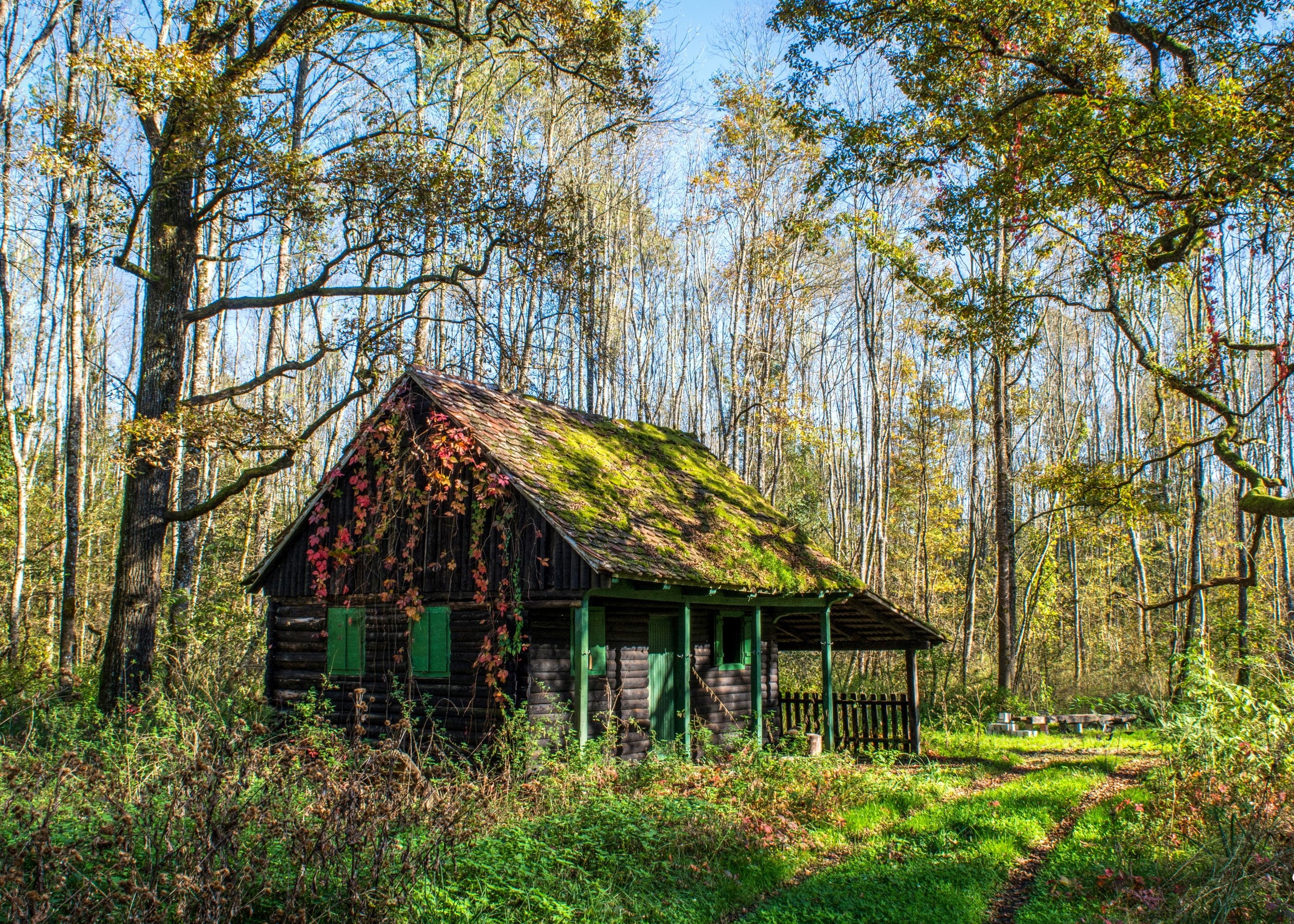 mlaka, houses, parks, 2K, moss, trees, zagreb, crna, croatia, grass, nature, HD Wallpaper
