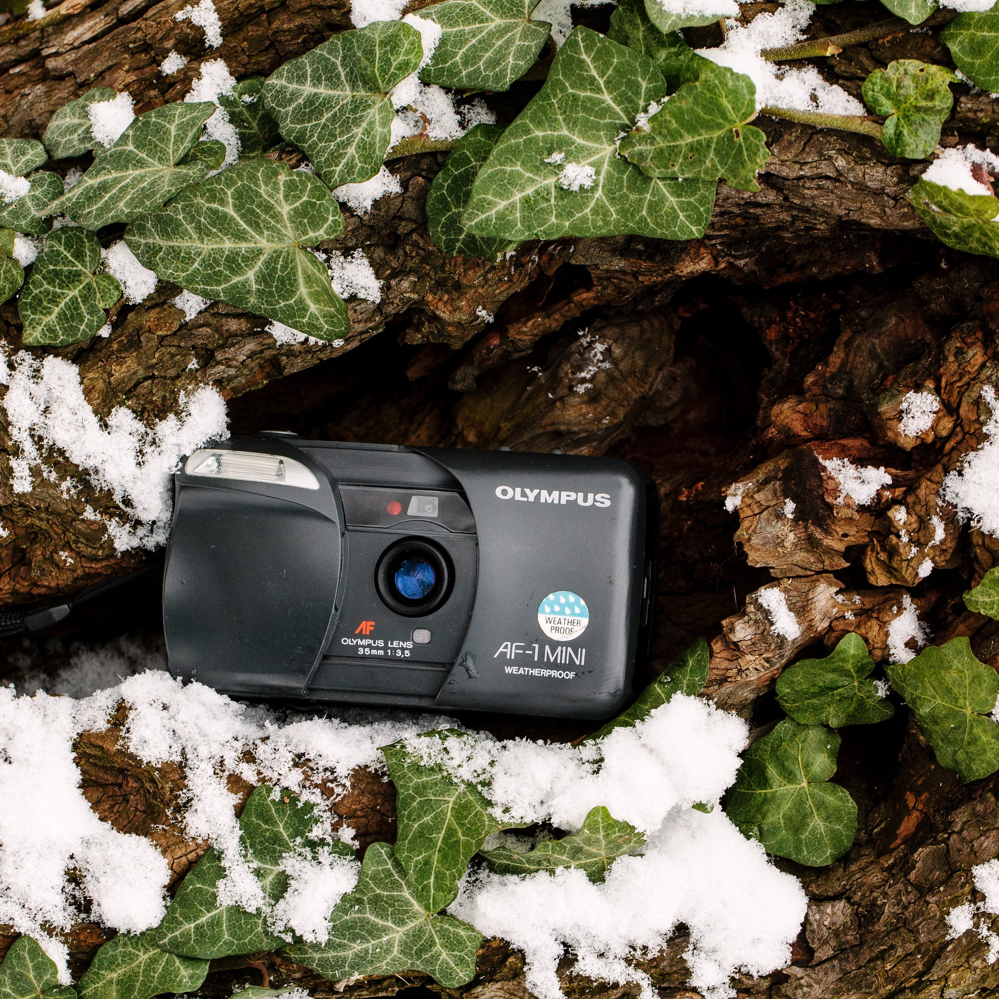 nature, leaf, obsolete, lens, industry, retro, green color, plant part, fun, 2K, picture, film, equipment, vintage, computer, antique, camera, old, viewfinder, Phone HD Wallpaper