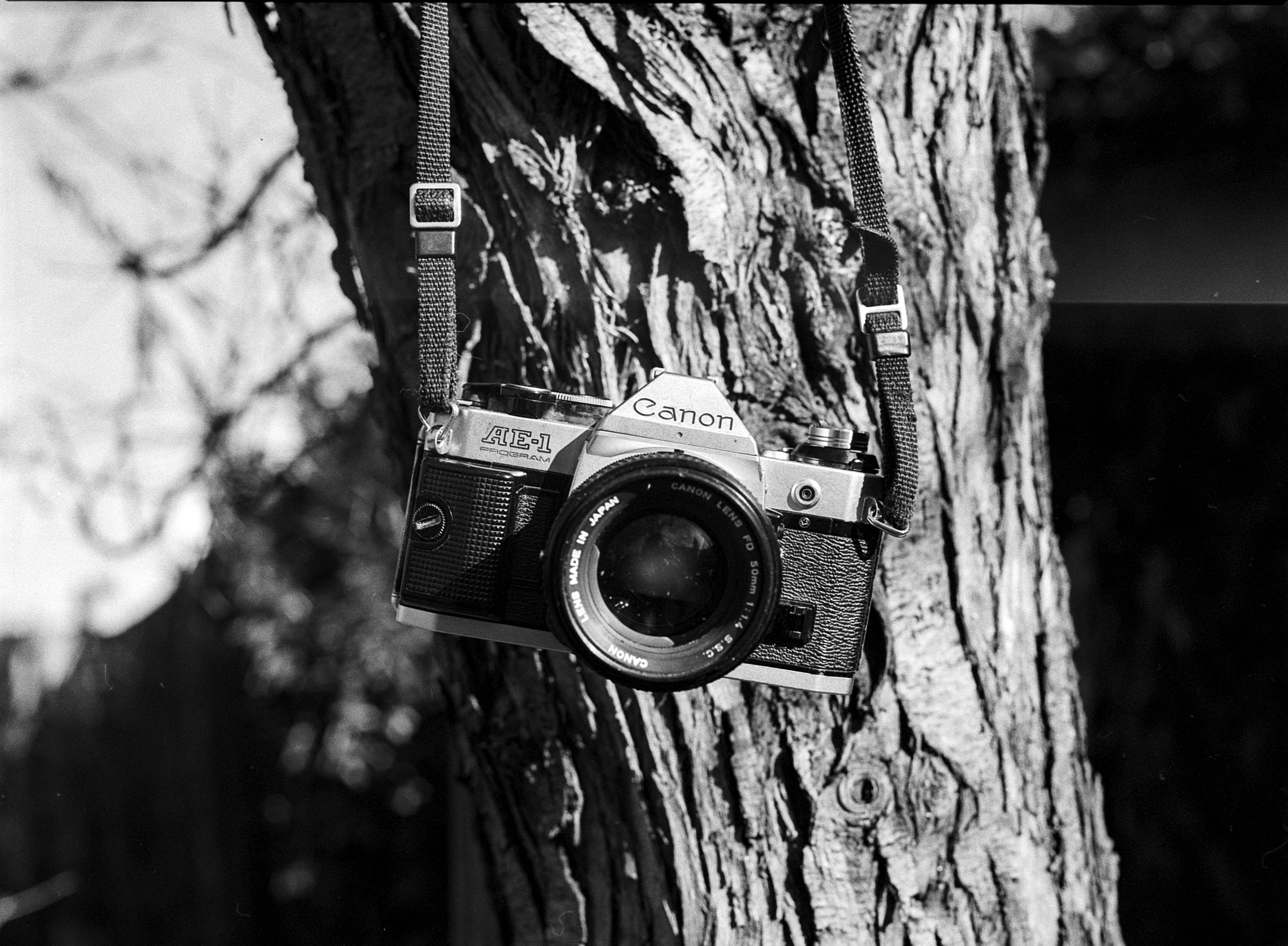 no people, close-up, textured, finance, shutter, camera, style, nostalgia, vintage, lens, computer, old, tree trunk, black, electronics, analog, obsolete, HD Wallpaper