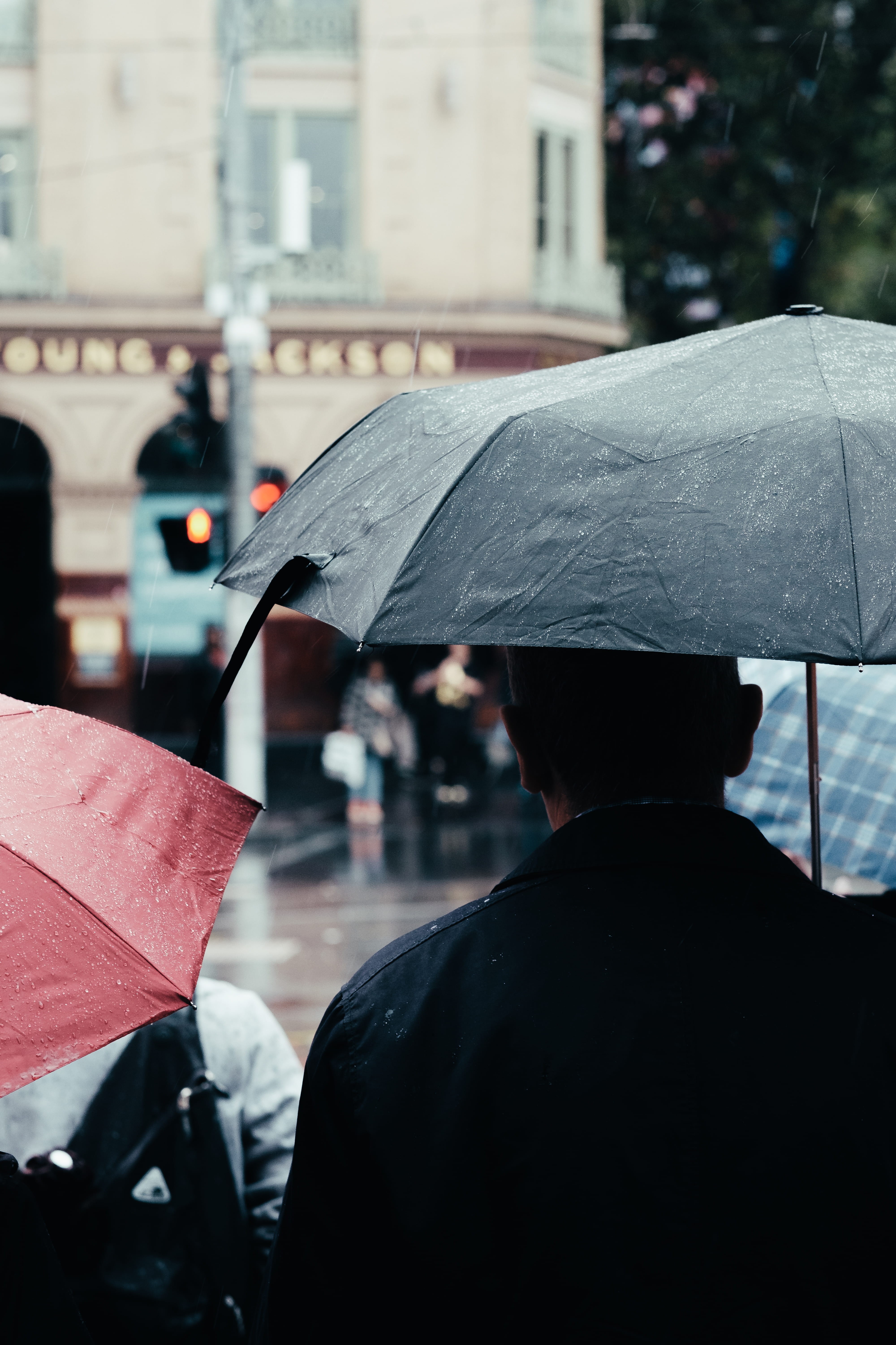 black, selective, holding, near, water, street, architecture, real people, monsoon, man, security, focus on foreground, government, photography, rain, people, Phone HD Wallpaper