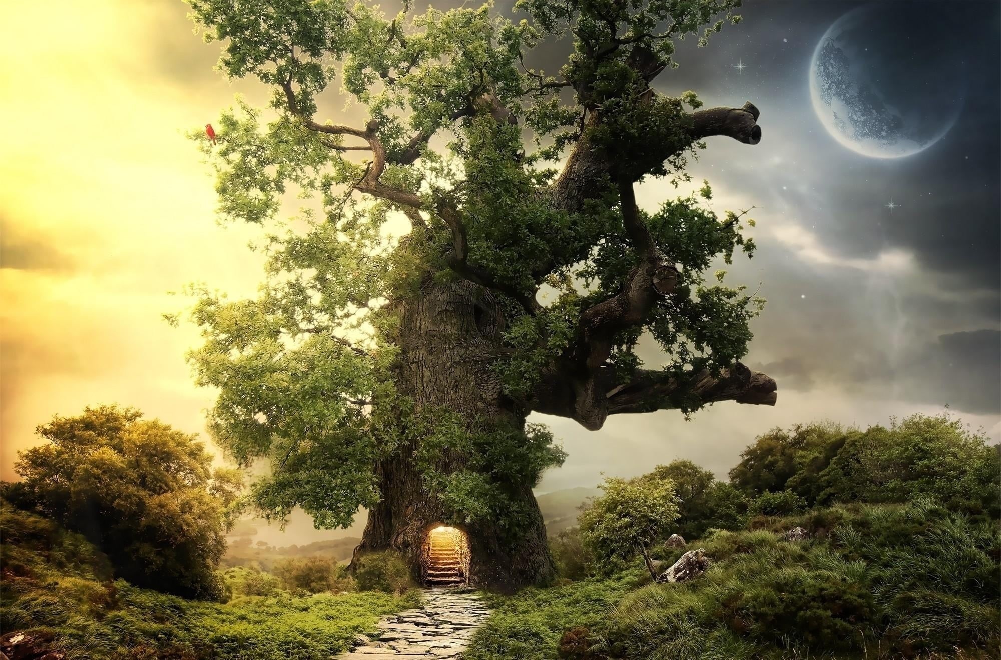 tree, outdoors, entrance, sunset, cloudscape, planet, tranquility, field, travel, sky, green Color, woodland, nature, 1080P, house, beauty In Nature, scenics, HD Wallpaper