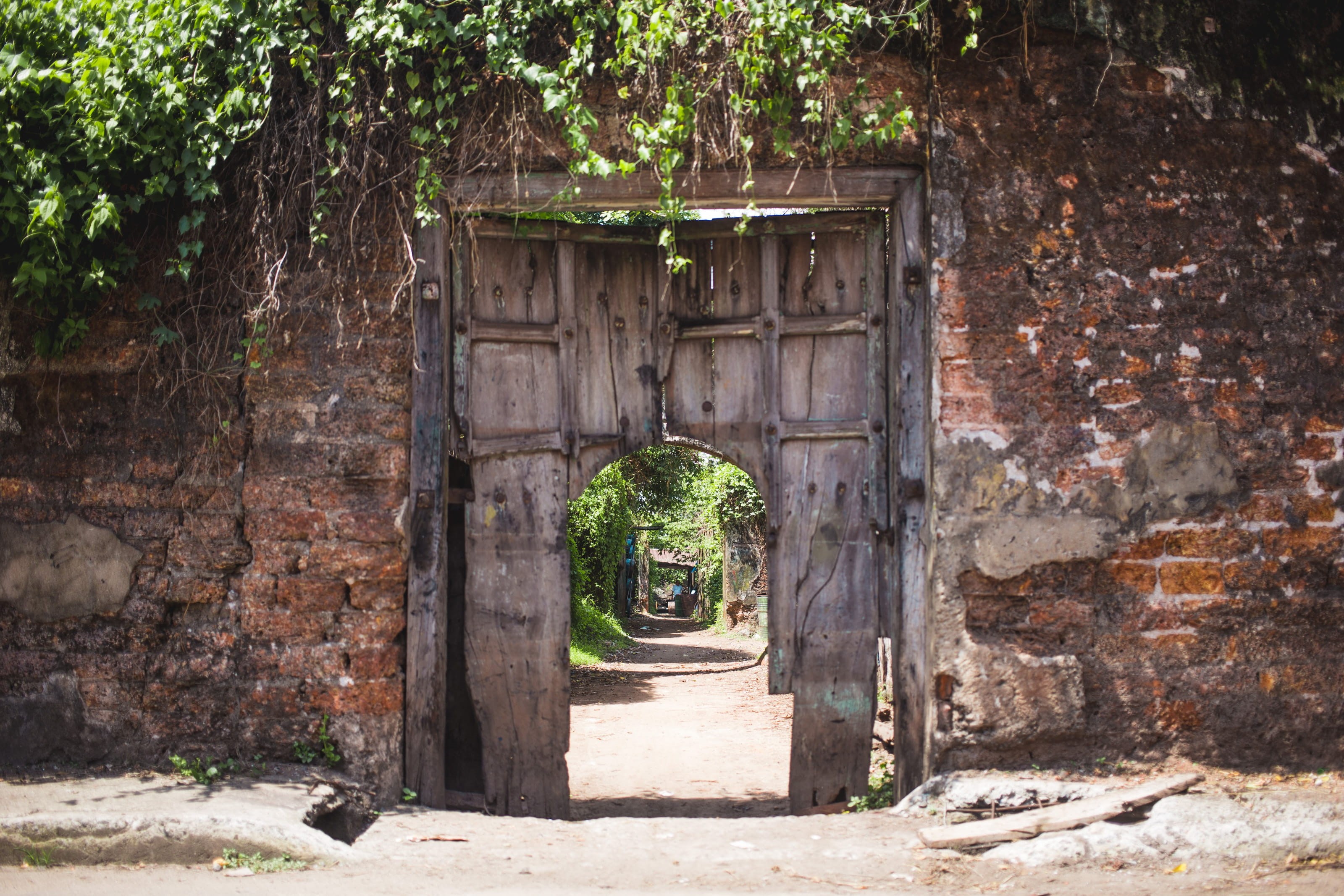 closed, worn, outdoors, construction, weathered, wooden, facade, disrepair, growth, abandoned, built structure, antique, the past, no people, entrance, HD Wallpaper