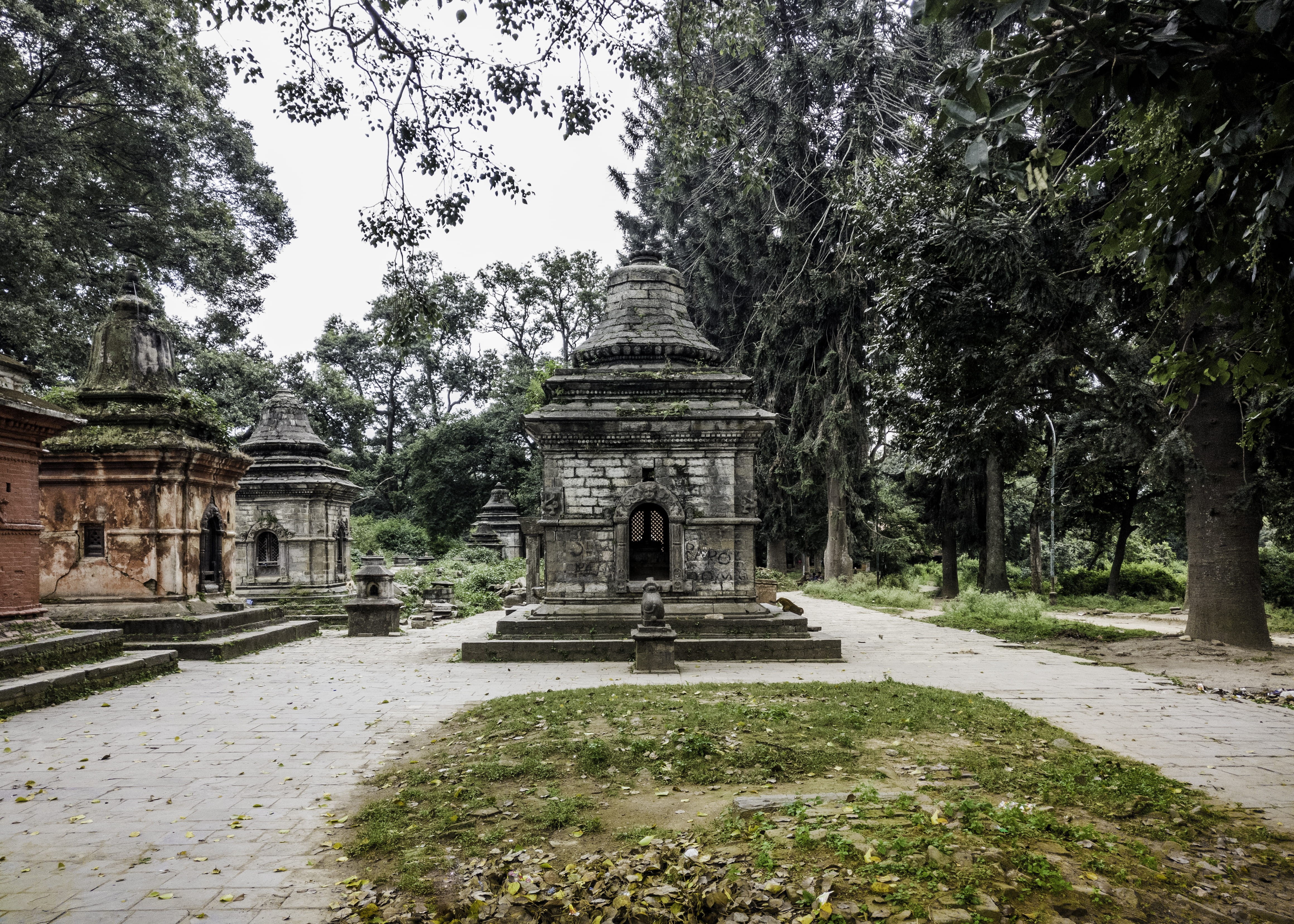 belief, deterioration, pashupatinath, ruined, pashupati, archaeology, s3, tree, no people, outdoors, autumn, hindu, religion, travel, architecture, spirituality, HD Wallpaper