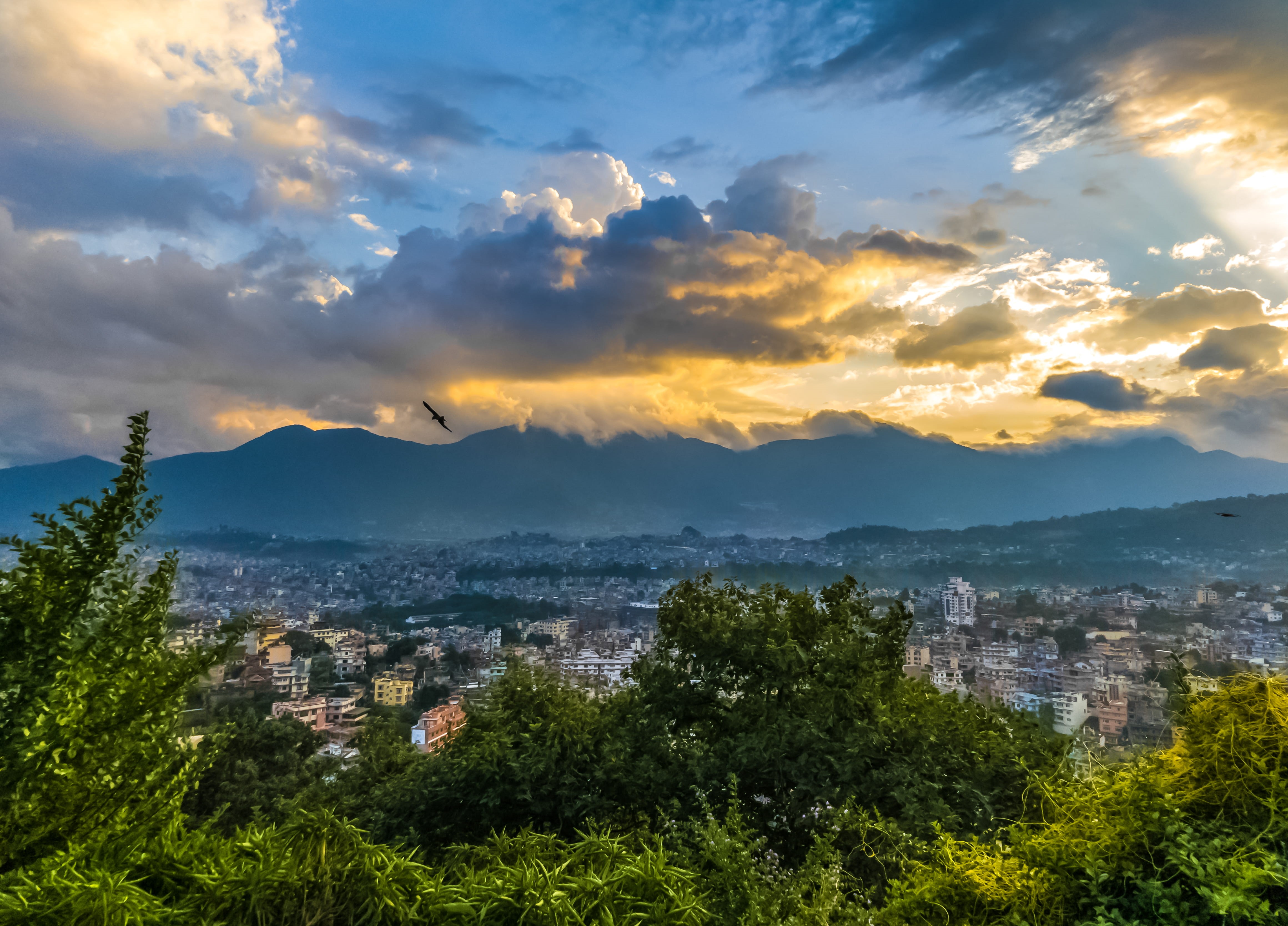 city, tree, residential district, scenics - nature, oneplus5, growth, eagle, shotononeplus, plant, s3, nepal, cityscape, cloud - sky, shaouraav, landscape, HD Wallpaper