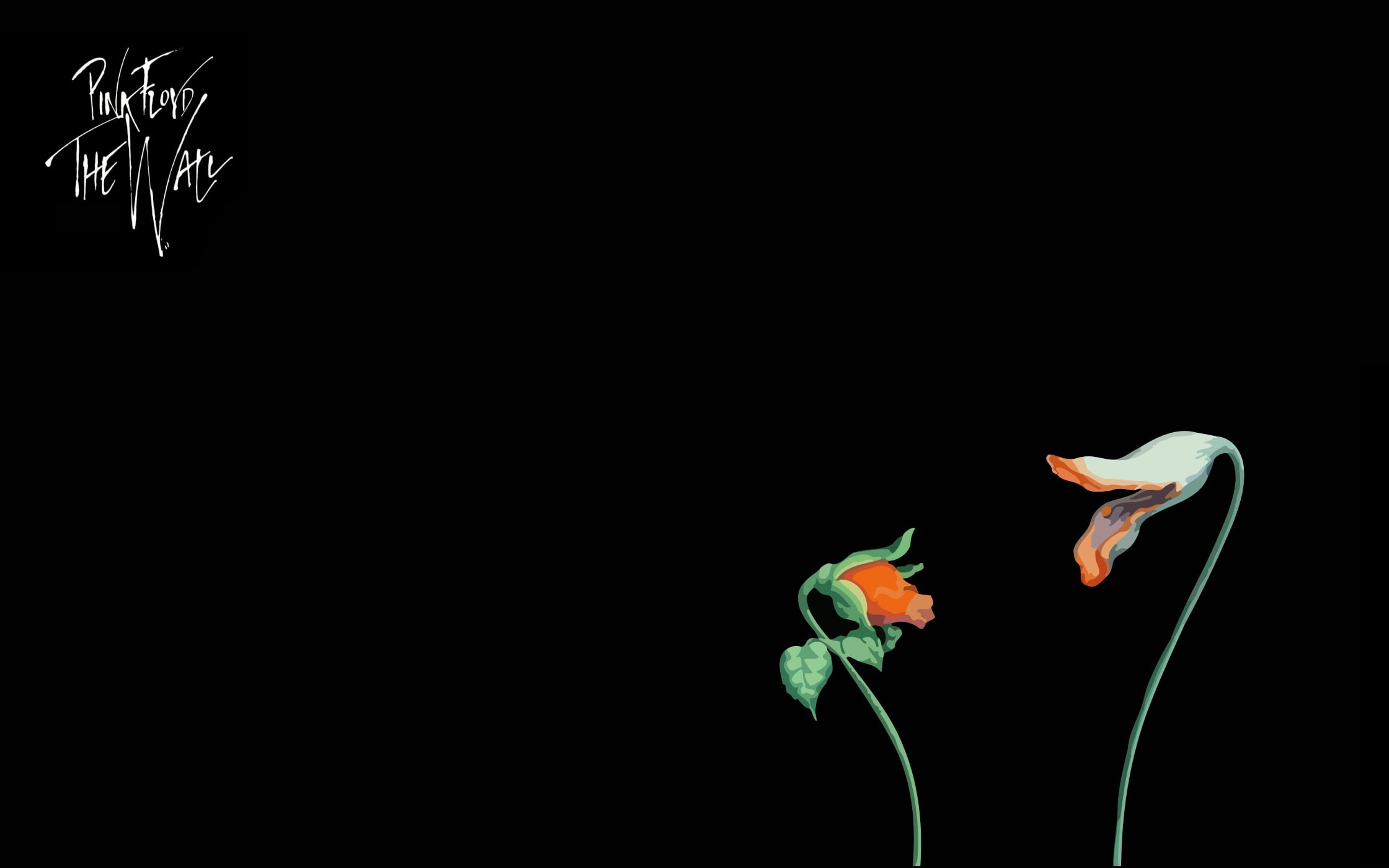 minimalism, nature, text, indoors, 1080P, inflorescence, red, no People, movie, black Color, freshness, flower, isolated, orange, Elclon, close-up, two, HD Wallpaper