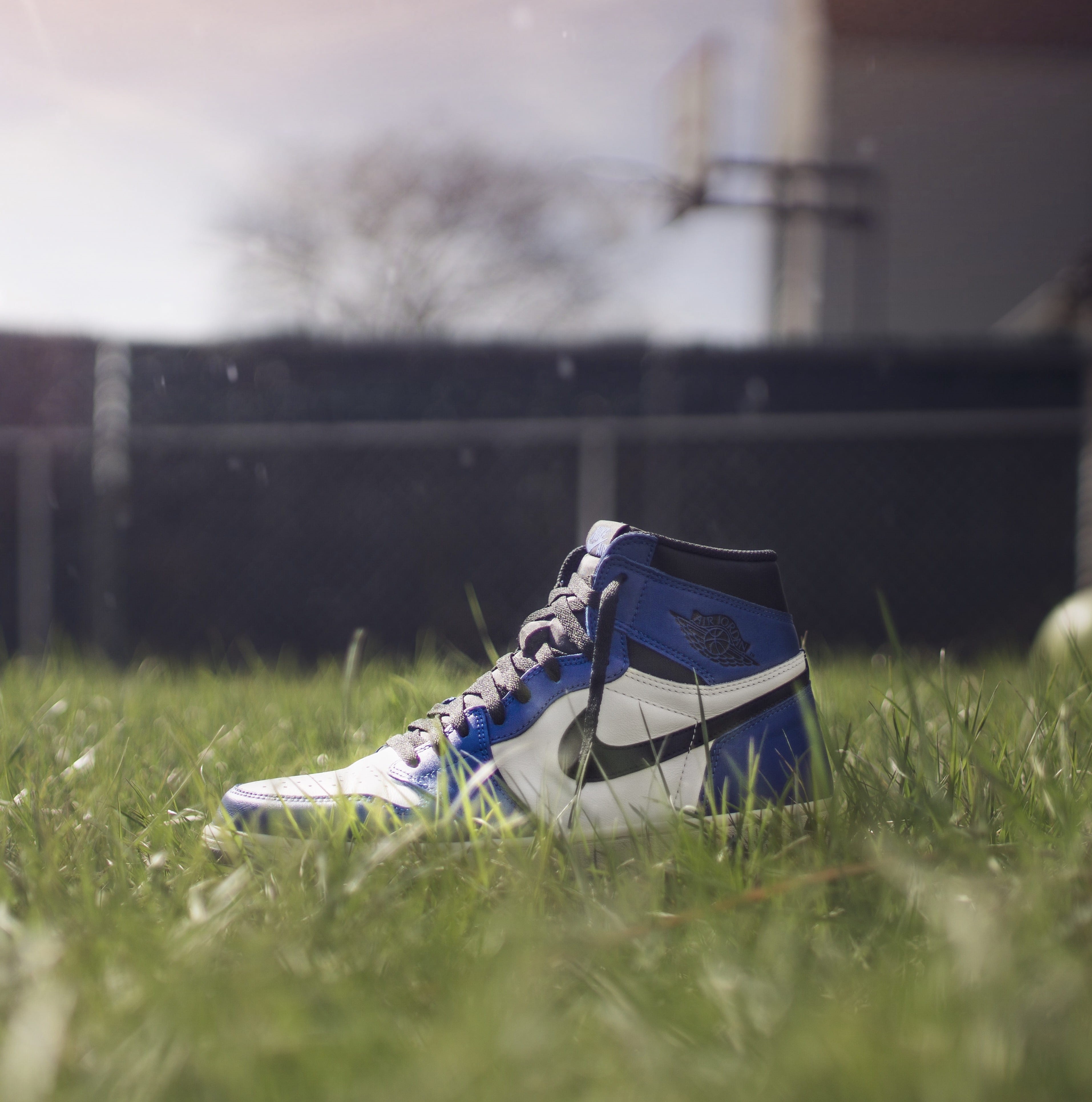 depth of field, misfortune, sunlight, land, people, day, field, outdoors, focus, style, leaves, 4K, close-up, green color, wear, lying down, branding, Phone HD Wallpaper