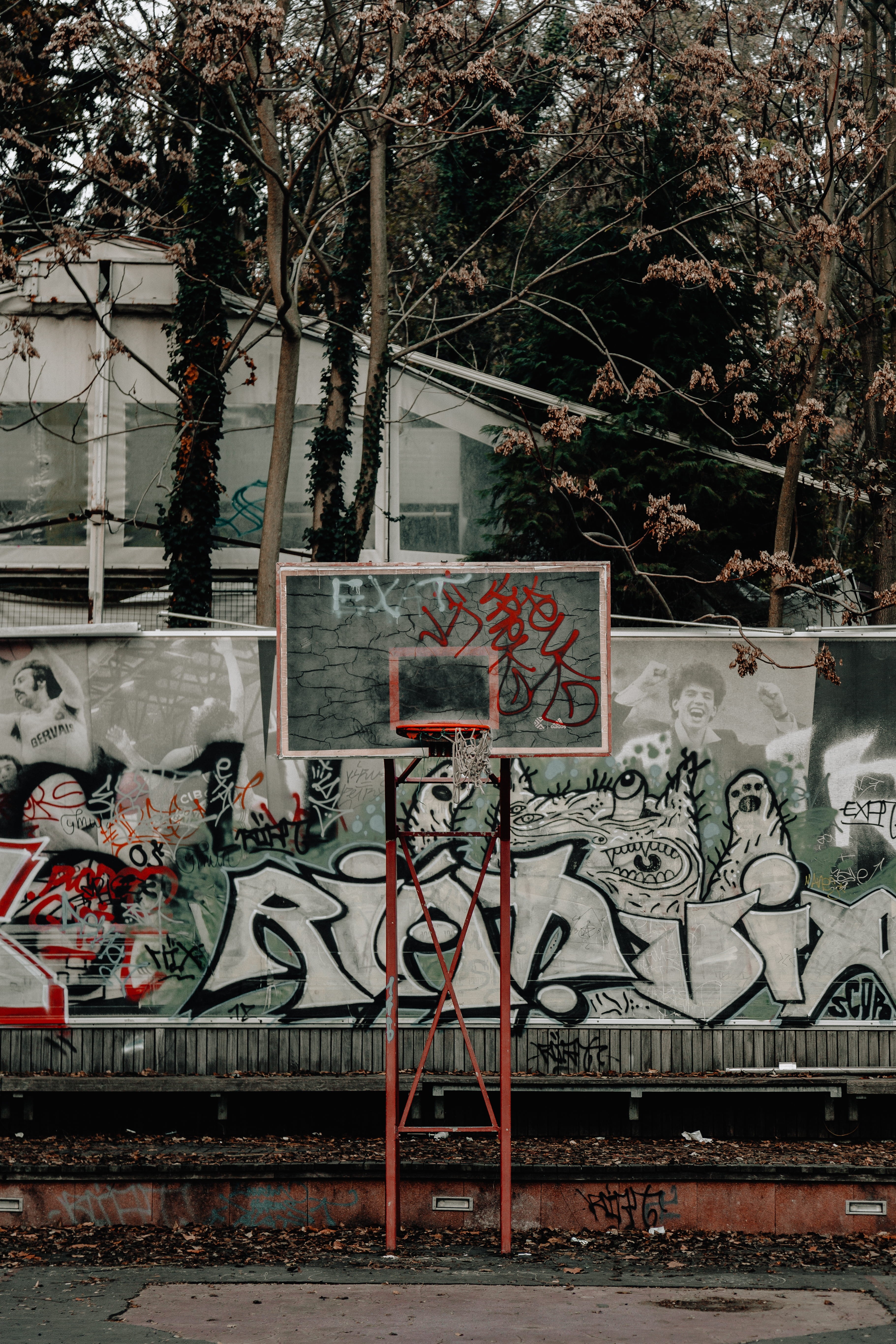 human representation, day, no people, communication, creativity, gray, street, plant, street art, street photography, automobile, hoop, asphalt, outdoors, Phone HD Wallpaper
