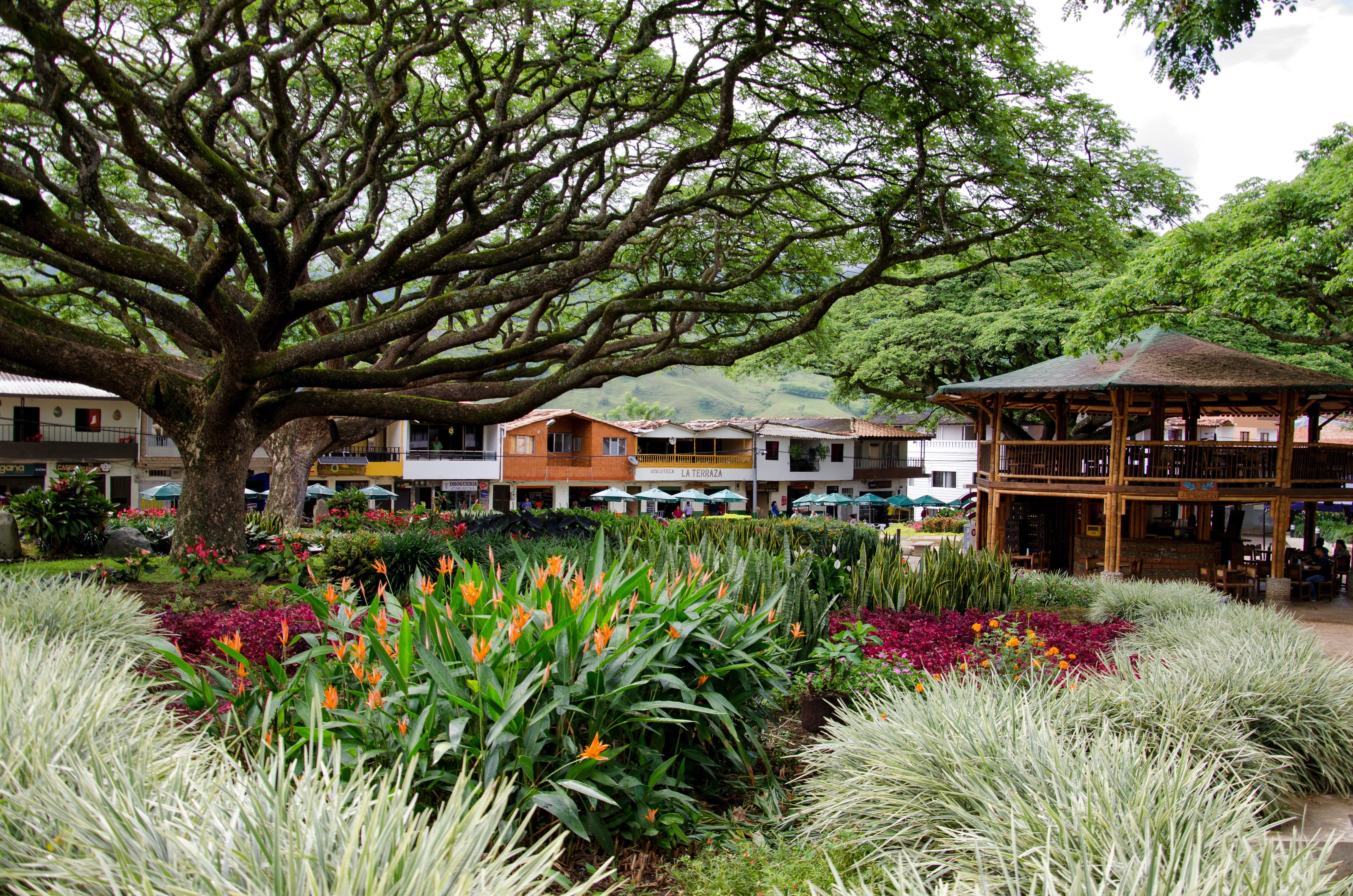 city, antioquia, beauty in nature, kiosk, nature, outdoors, flowering plant, tree, plant, built structure, house, no people, building, coziness, colombia, HD Wallpaper