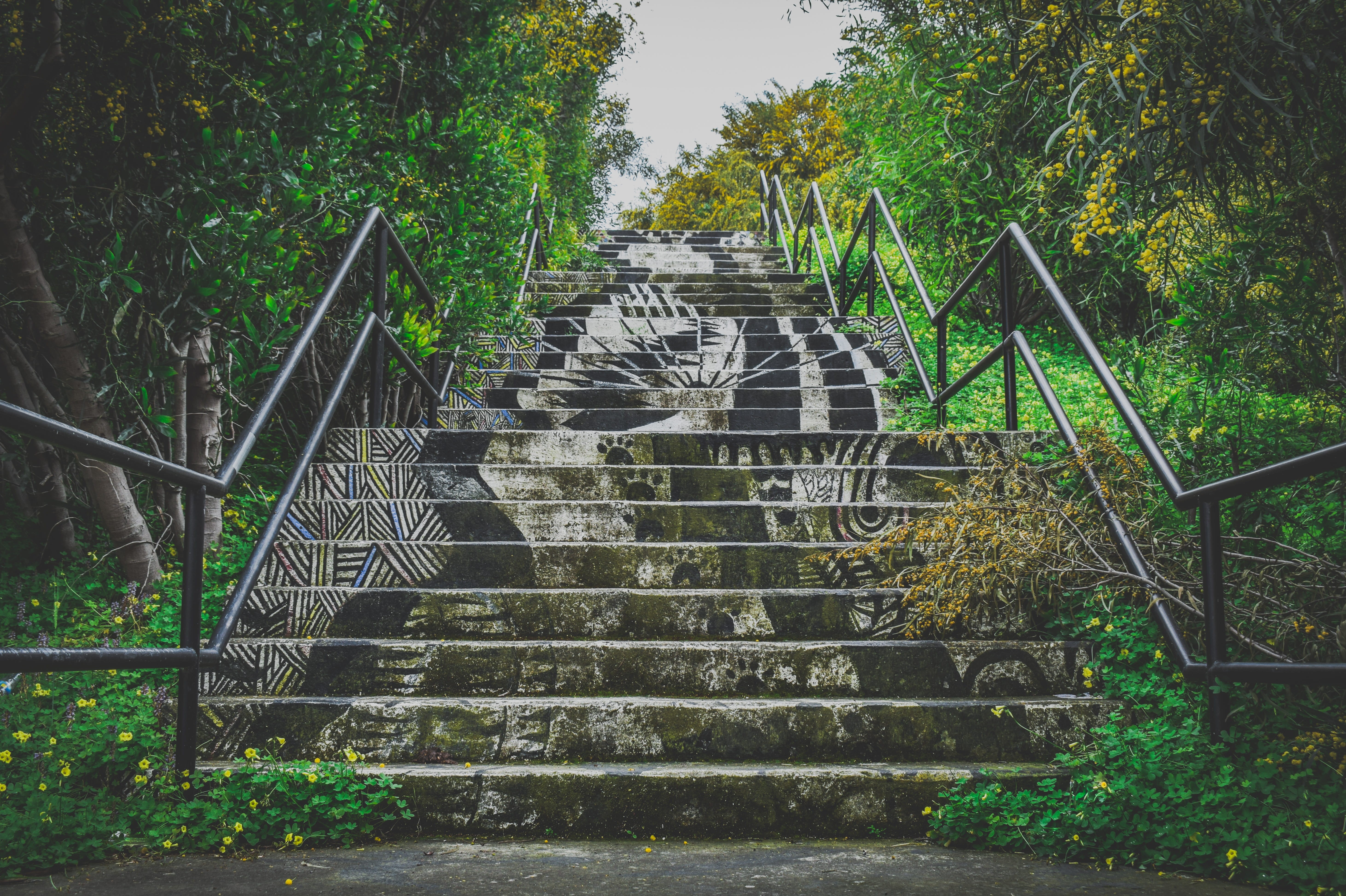 urban, green color, growth, built structure, staircase, low angle view, tree, railing, day, park, cyprus, steps and staircases, grungy, abandoned, outdoors, HD Wallpaper