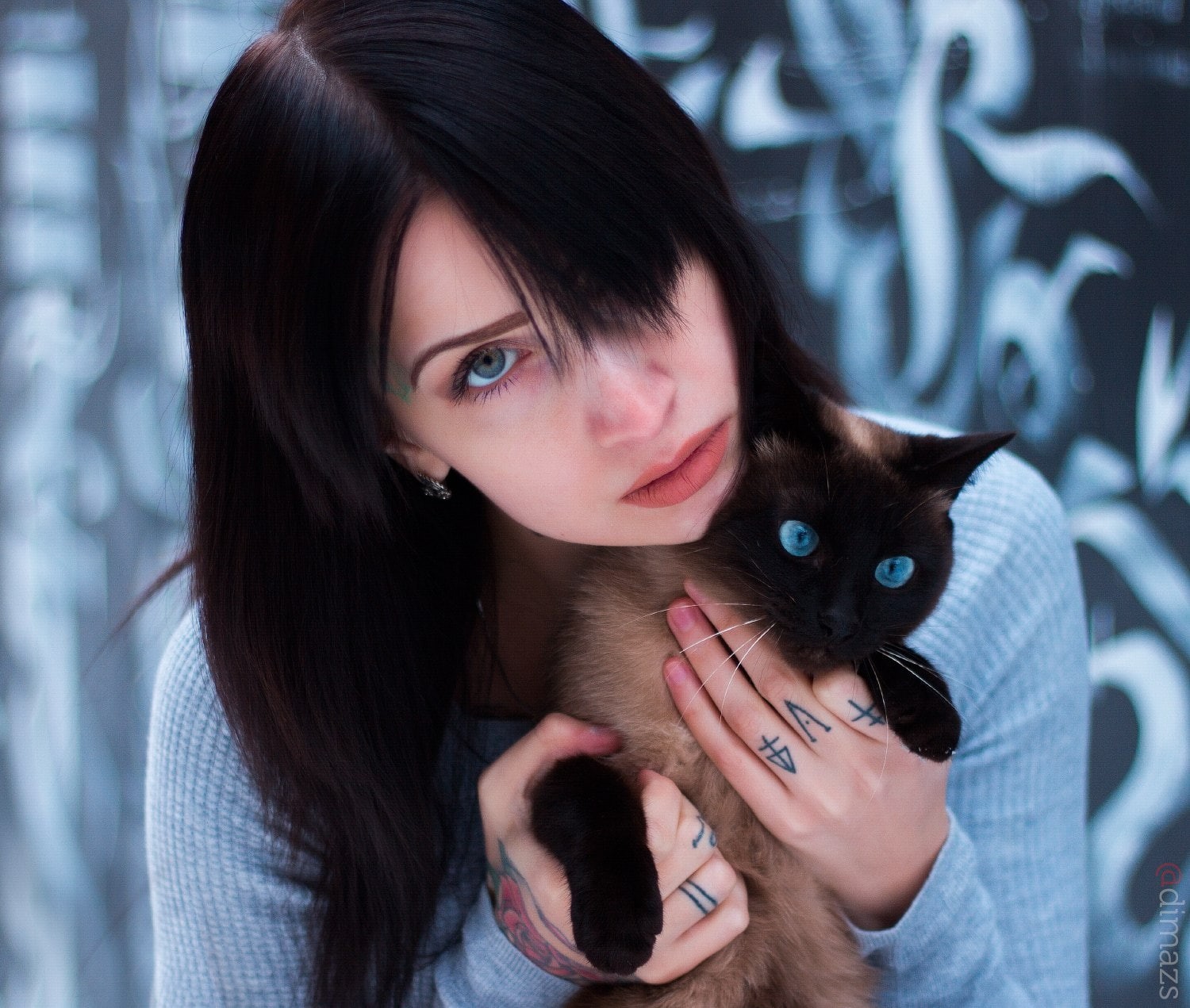 Dim Khokhlov, cat, animals, face, model, women, 720P, blue eyes, HD Wallpaper