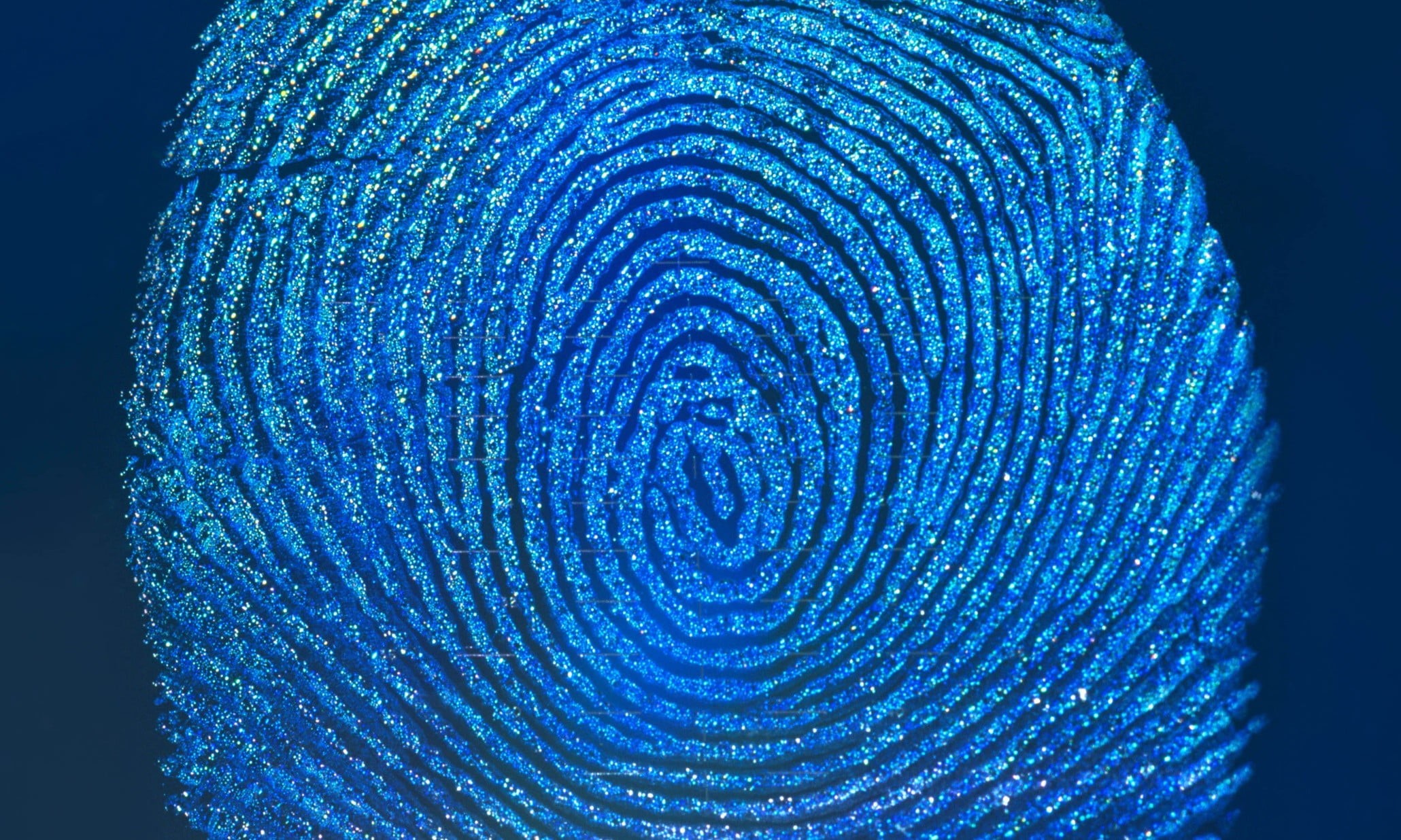 abstract, concentric, close-up, pattern, nature, full frame, indoors, 1080P, cyan, black background, circle, shape, fingerprints, invertebrate, thumb, HD Wallpaper