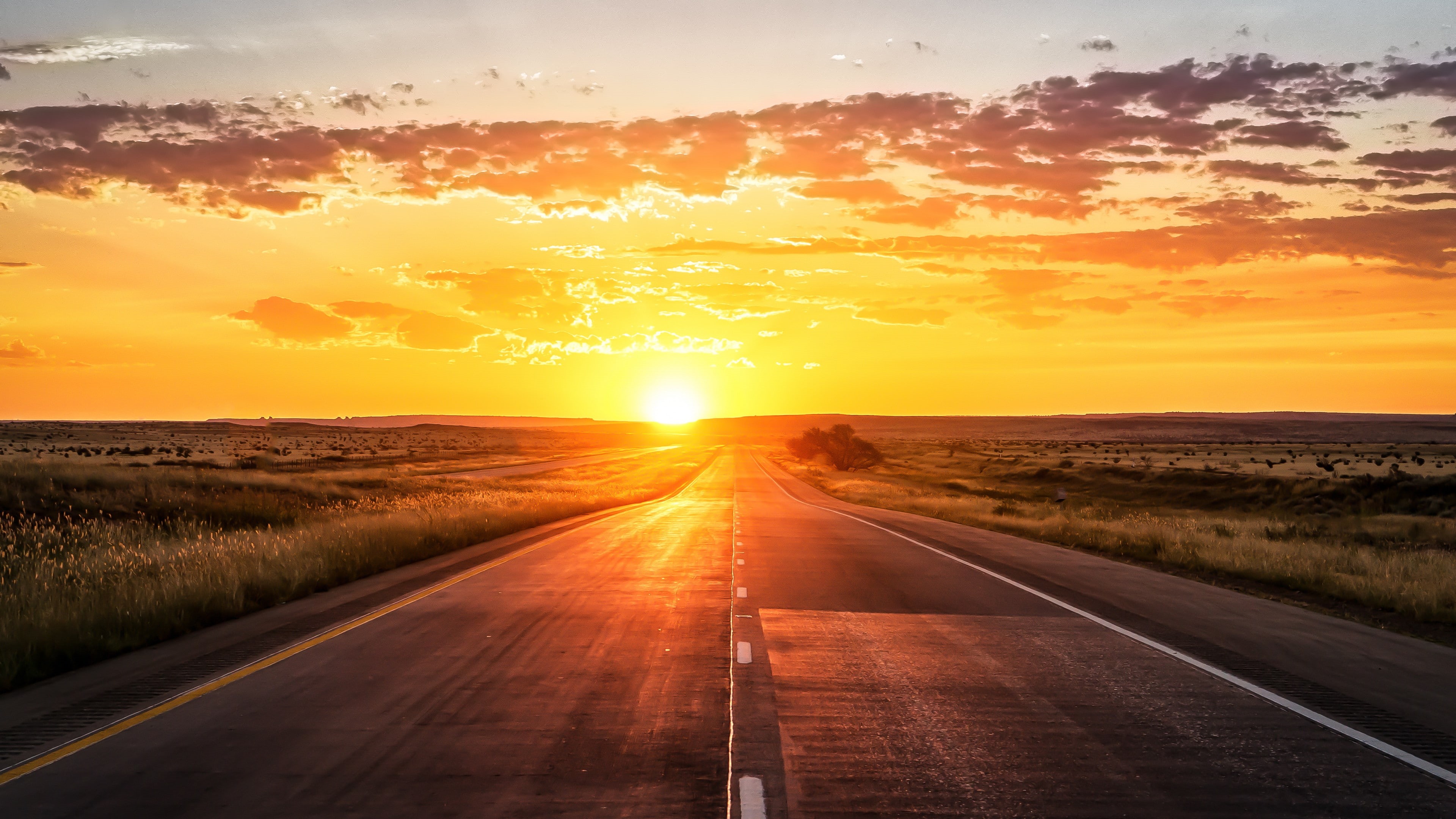 sunset, ultra hd, marking, 4K, road, 4K, grass, HD Wallpaper