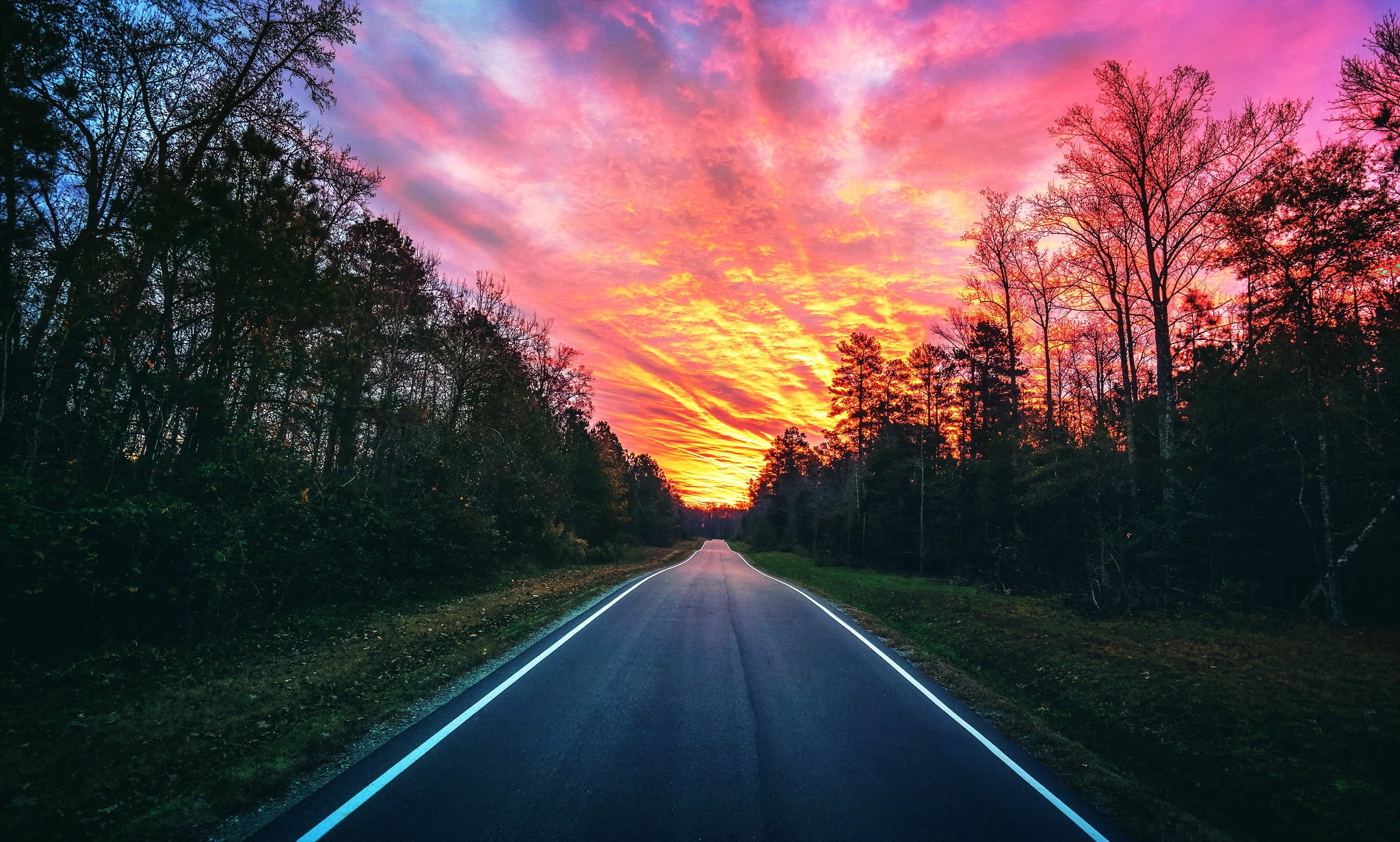 forest, landscape, tranquility, orange color, non-urban scene, tranquil scene, outdoors, tree, concrete, road, sunset, land, diminishing perspective, sky, HD Wallpaper