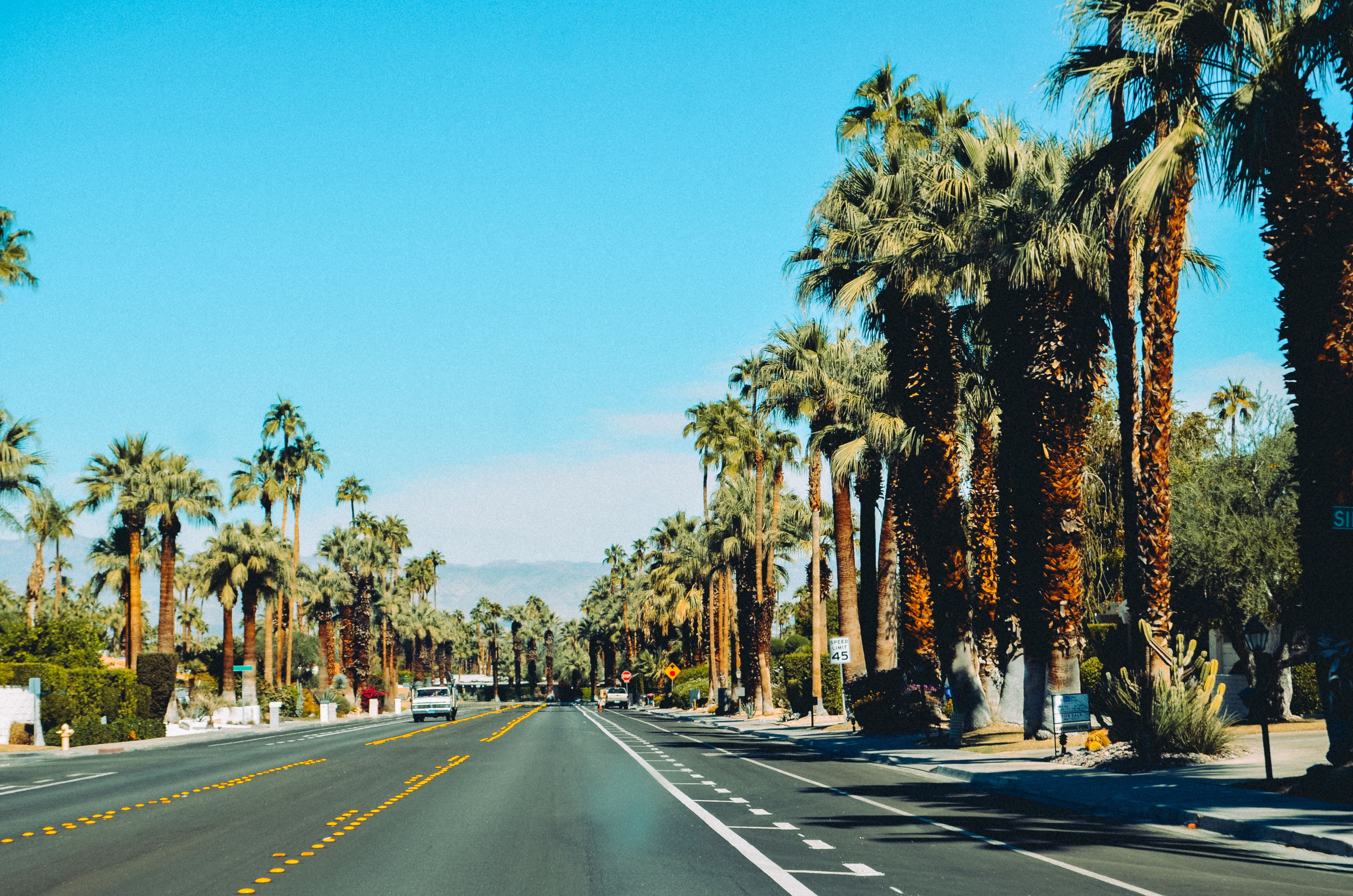 day, dividing line, plam tree, trees, direction, outdoors, asphalt, photo, coconut, gray, sunlight, california, clear, diminishing perspective, the way forward, HD Wallpaper