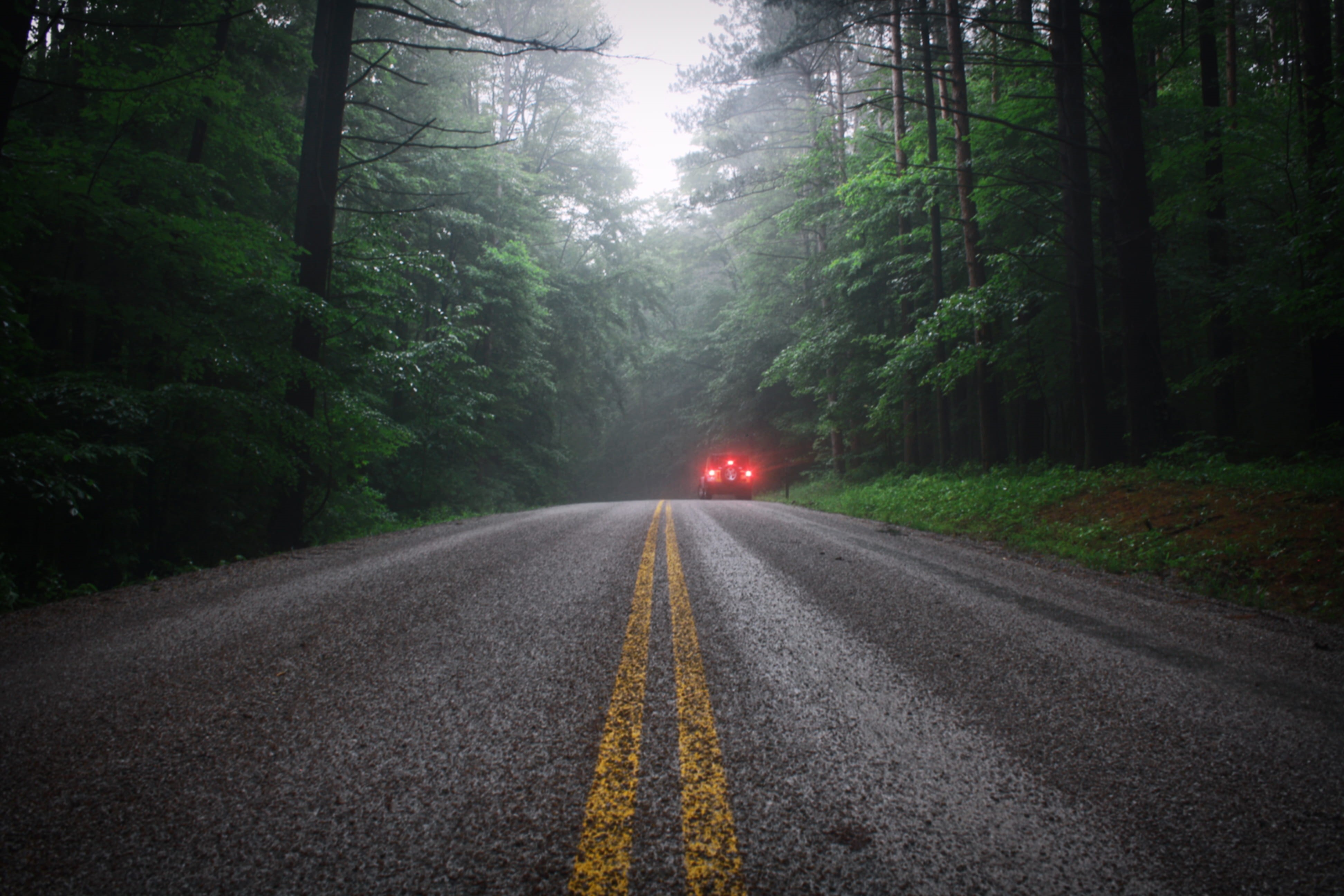 nature, transportation, concrete, fog, pavement, vehicle, car, day, direction, marking, yellow line, eerie, outdoors, diminishing perspective, cold, HD Wallpaper