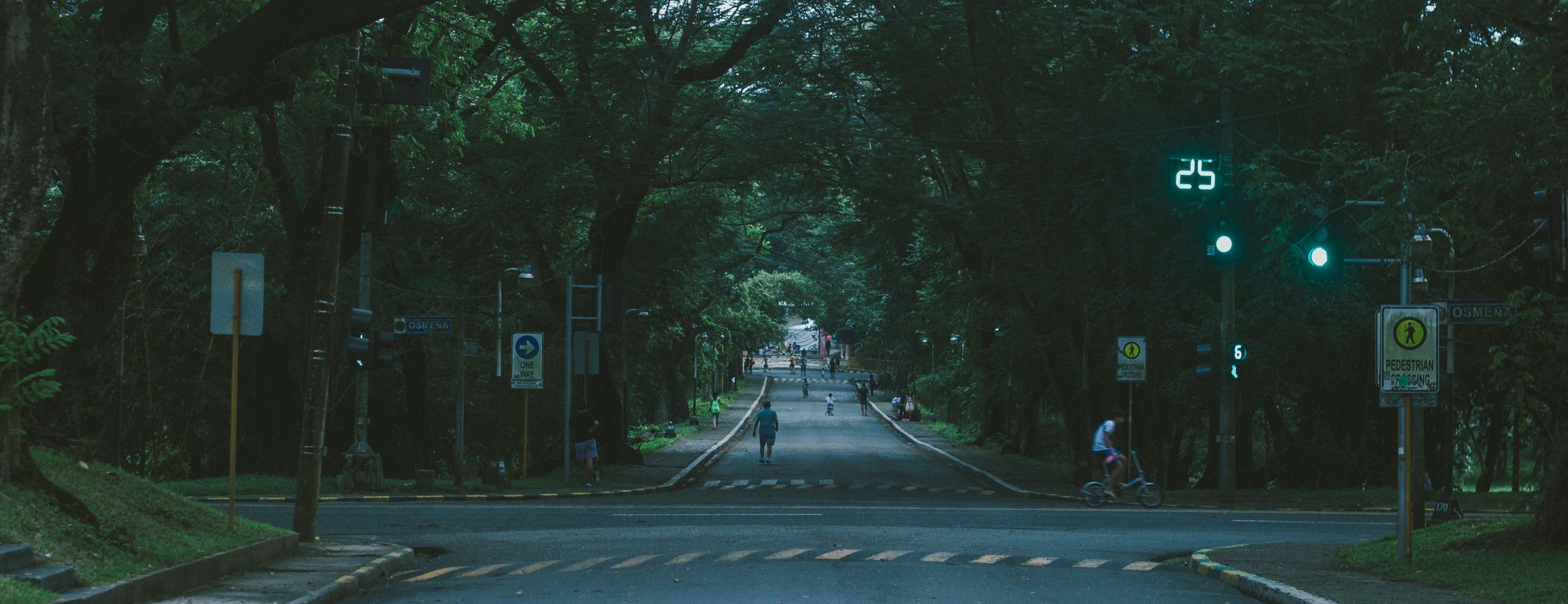 direction, nature, night, 4K, trunk, architecture, marking, symbol, plant, sign, road, outdoors, tree, street light, transportation, trees, university of the philippines, HD Wallpaper