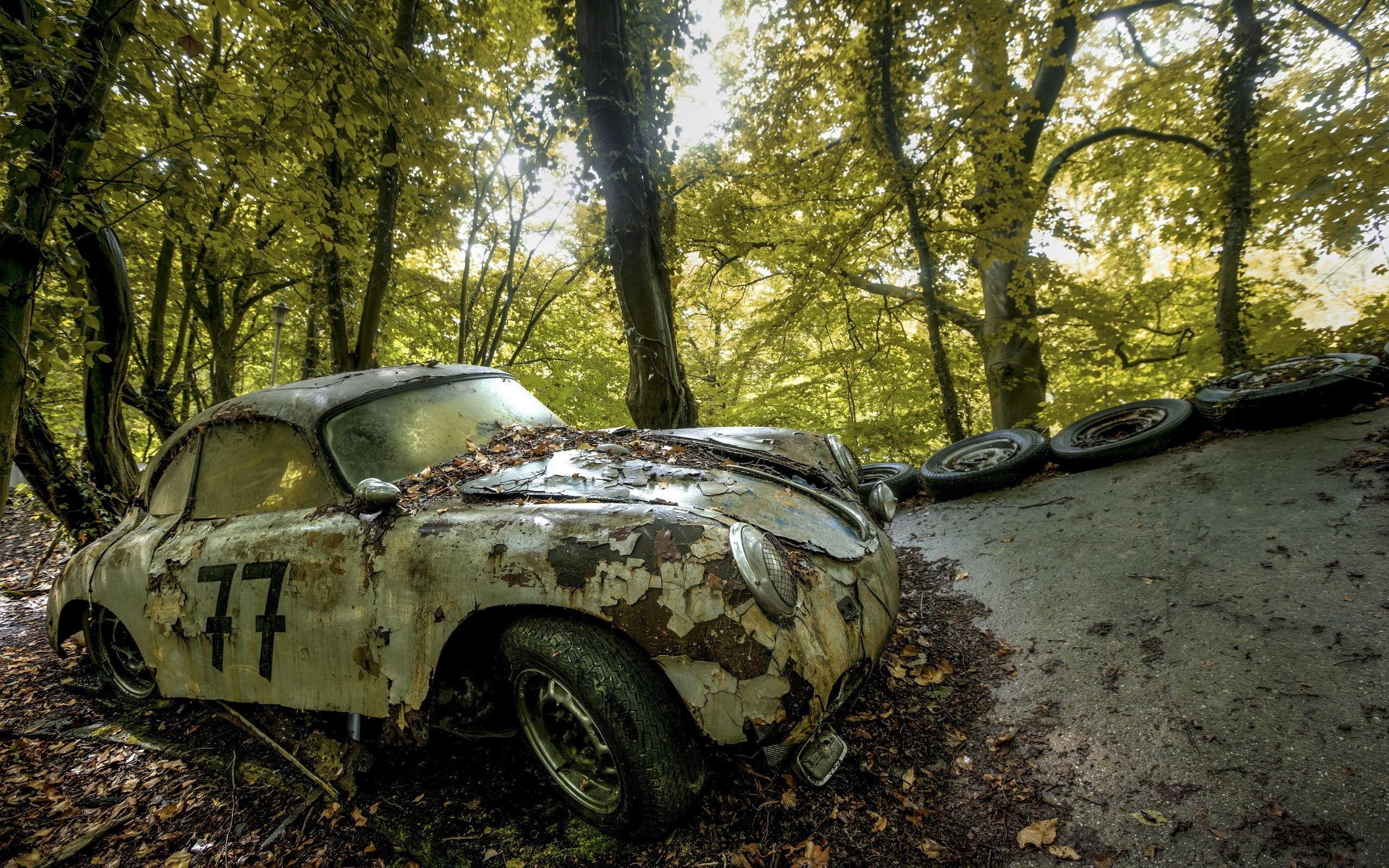 transportation, wreck, damaged, obsolete, nature, metal, volkswagen, abandoned, plant, vehicle, land vehicle, day, land, white, mode of transportation, HD Wallpaper