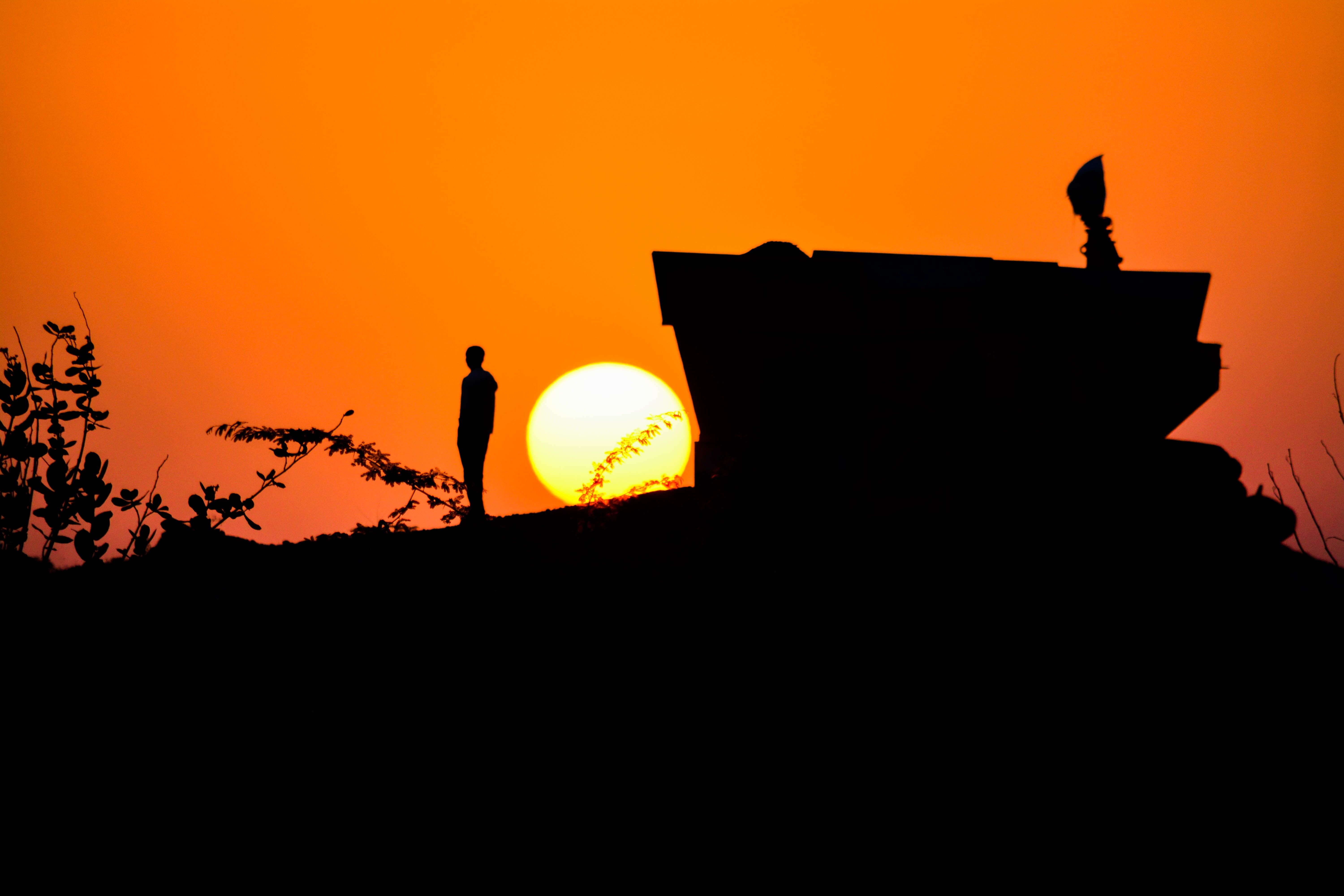 one animal, back lit, india, architecture, beauty in nature, copy space, no people, thinker, animal wildlife, perching, sunset, outdoors, animals in the wild, HD Wallpaper
