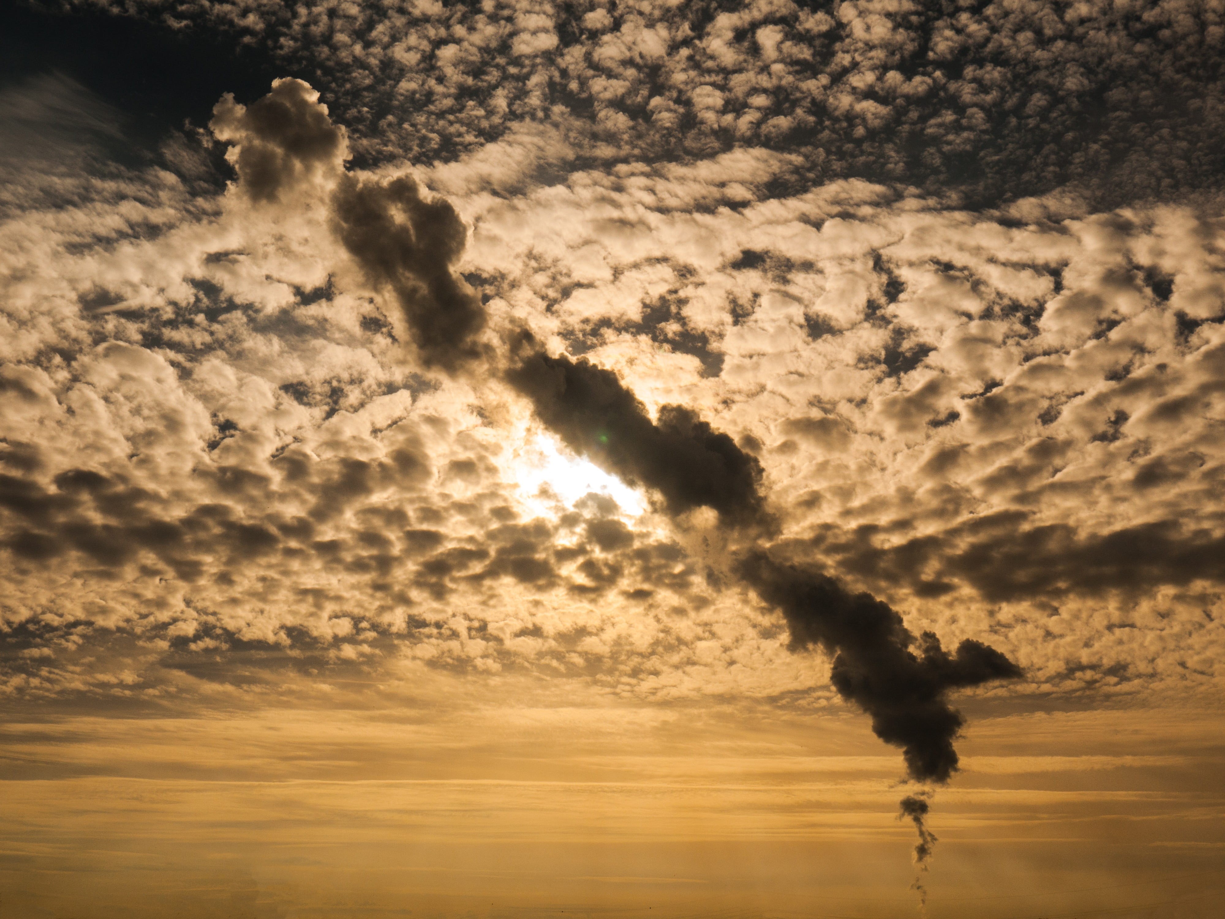 environmental damage, against the current, distinctive, rebellion, pollution, outdoors, evening, air pollution, emitting, hour, nature, evening sun, cloud - sky, HD Wallpaper
