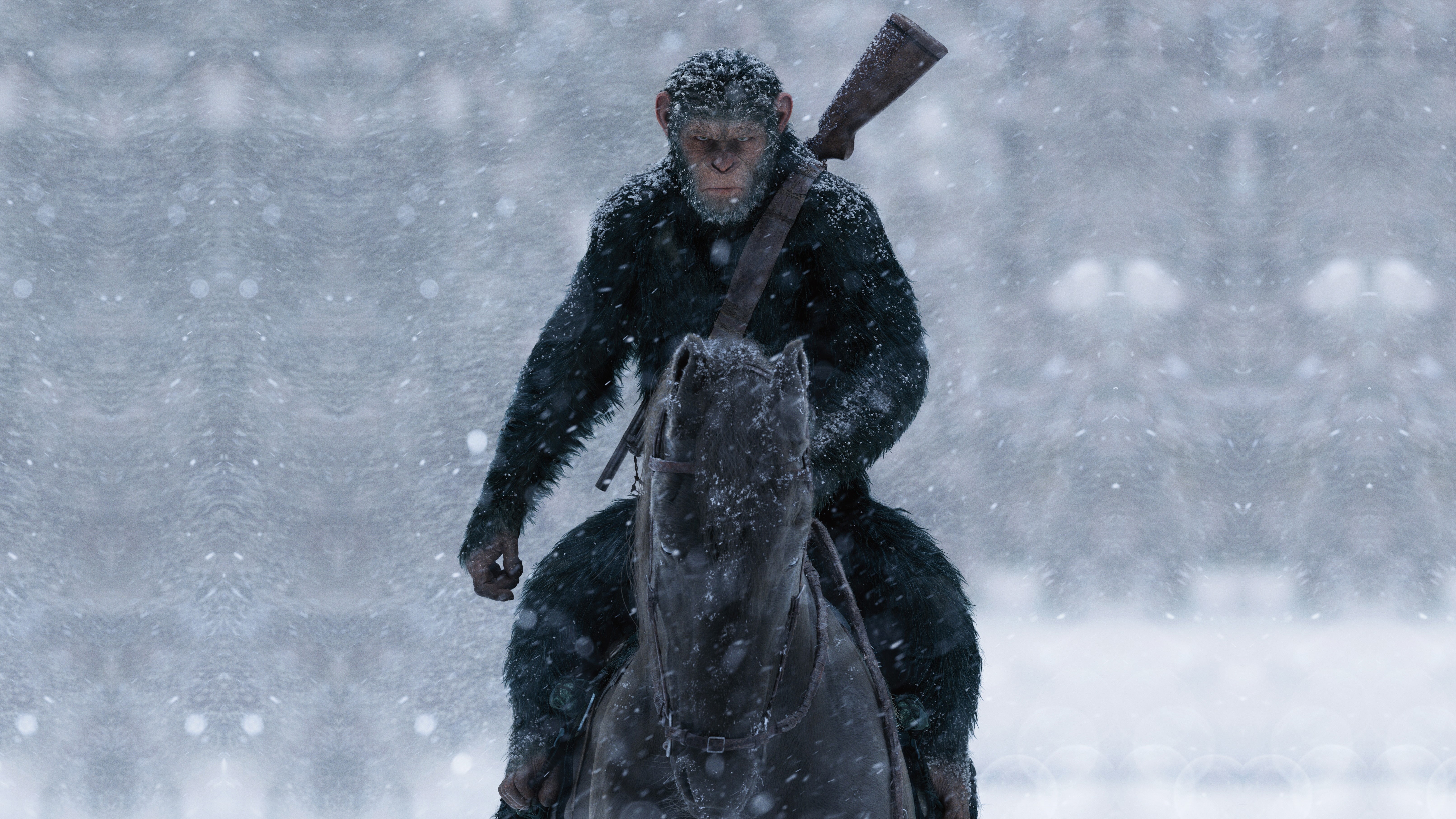 Caesar, 5K, 2017, War for the Planet of the Apes, HD Wallpaper