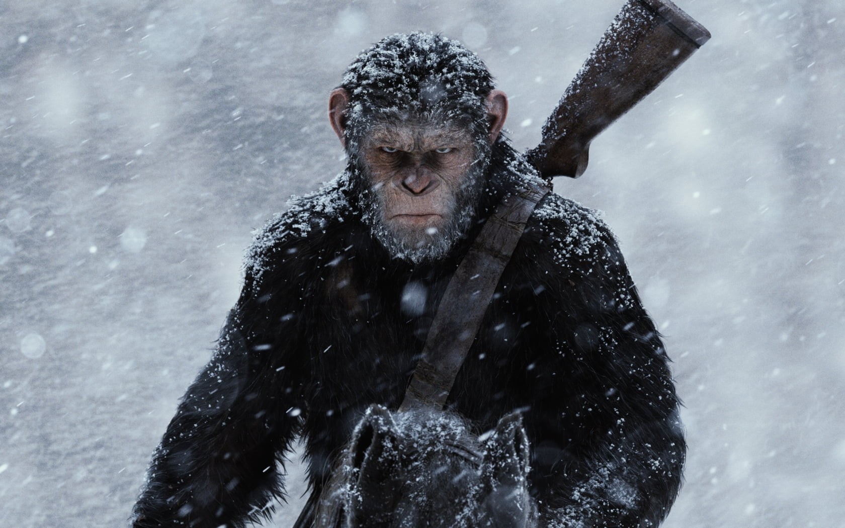 war, people, snowing, extreme weather, hollywood, focus on foreground, winter, frozen, Hollywood Movies, monkey, outdoors, ice, Movies, animal wildlife, HD Wallpaper