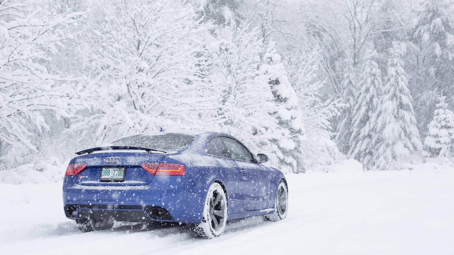 tree, outdoors, transportation, snowing, storm, 1080P, mode of transportation, frozen, nature, road, motor vehicle, blizzard, extreme weather, wheel, cold temperature, HD Wallpaper