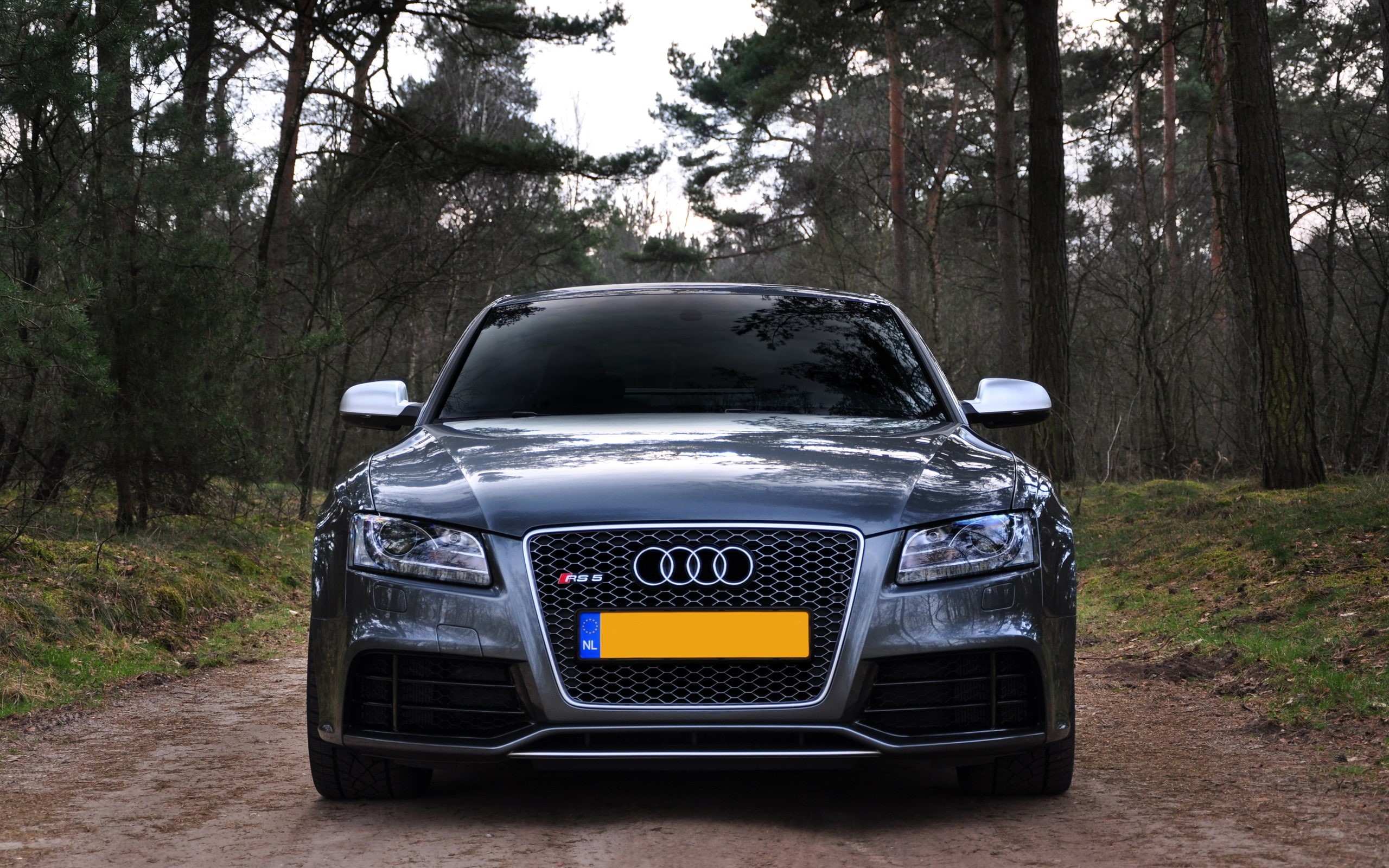 Audi RS5, car, 2K, HD Wallpaper