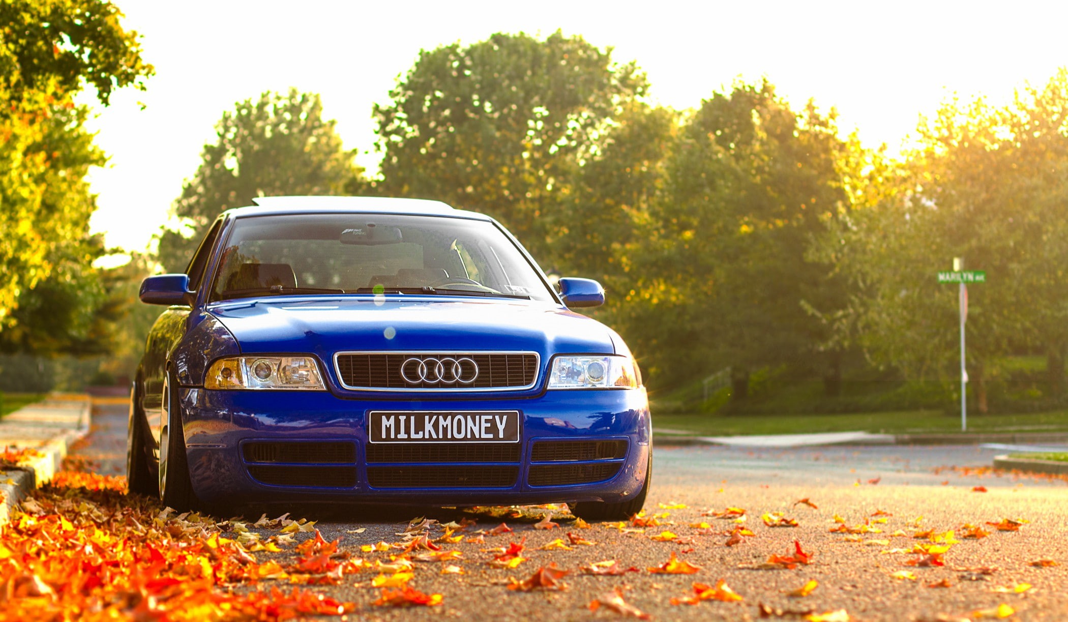 front, blue, Autumn, 1080P, Audi, A4, foliage, HD Wallpaper