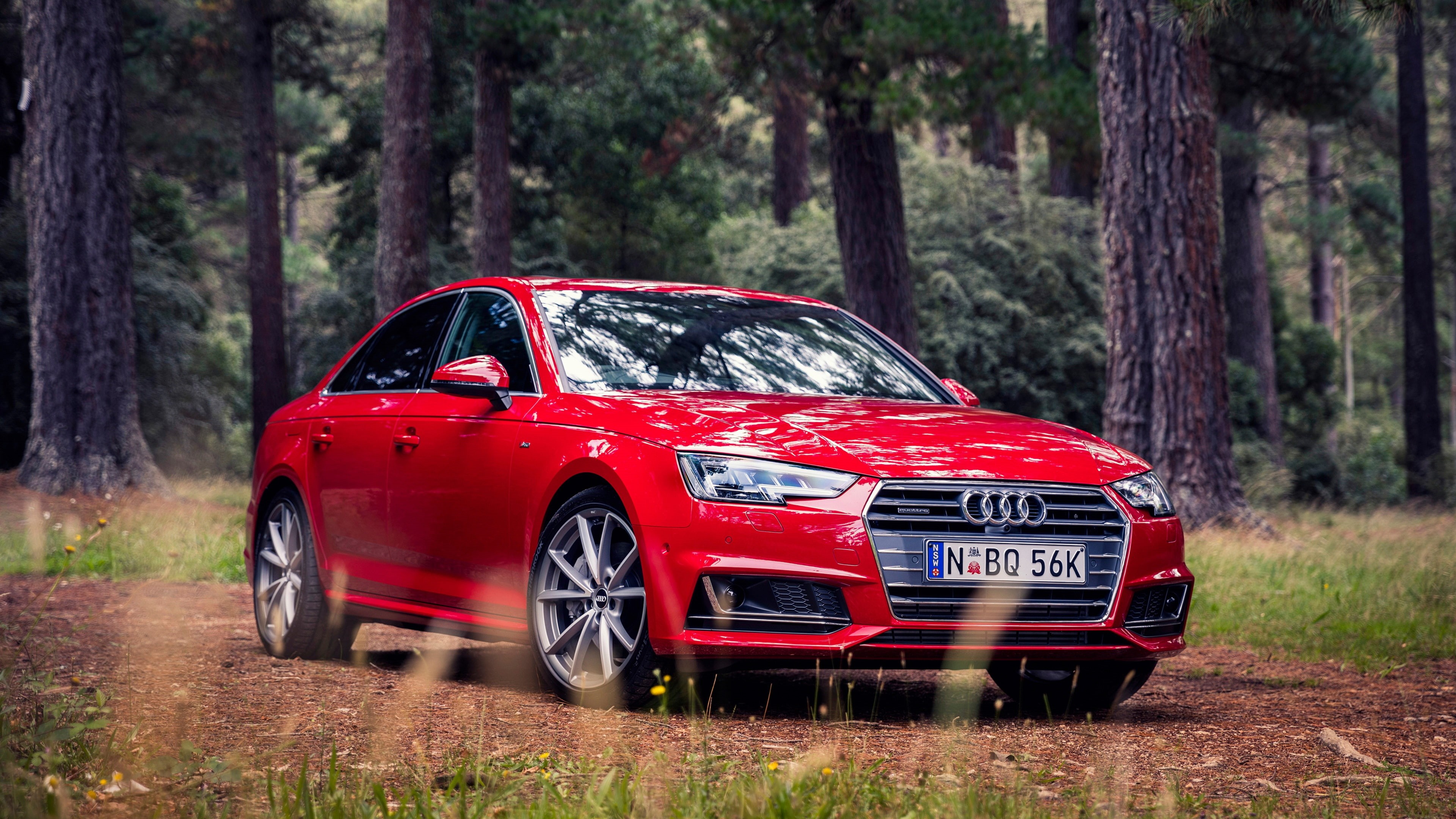 Red, Grass, Sedan, A4, 4K, Audi, Forest, HD Wallpaper