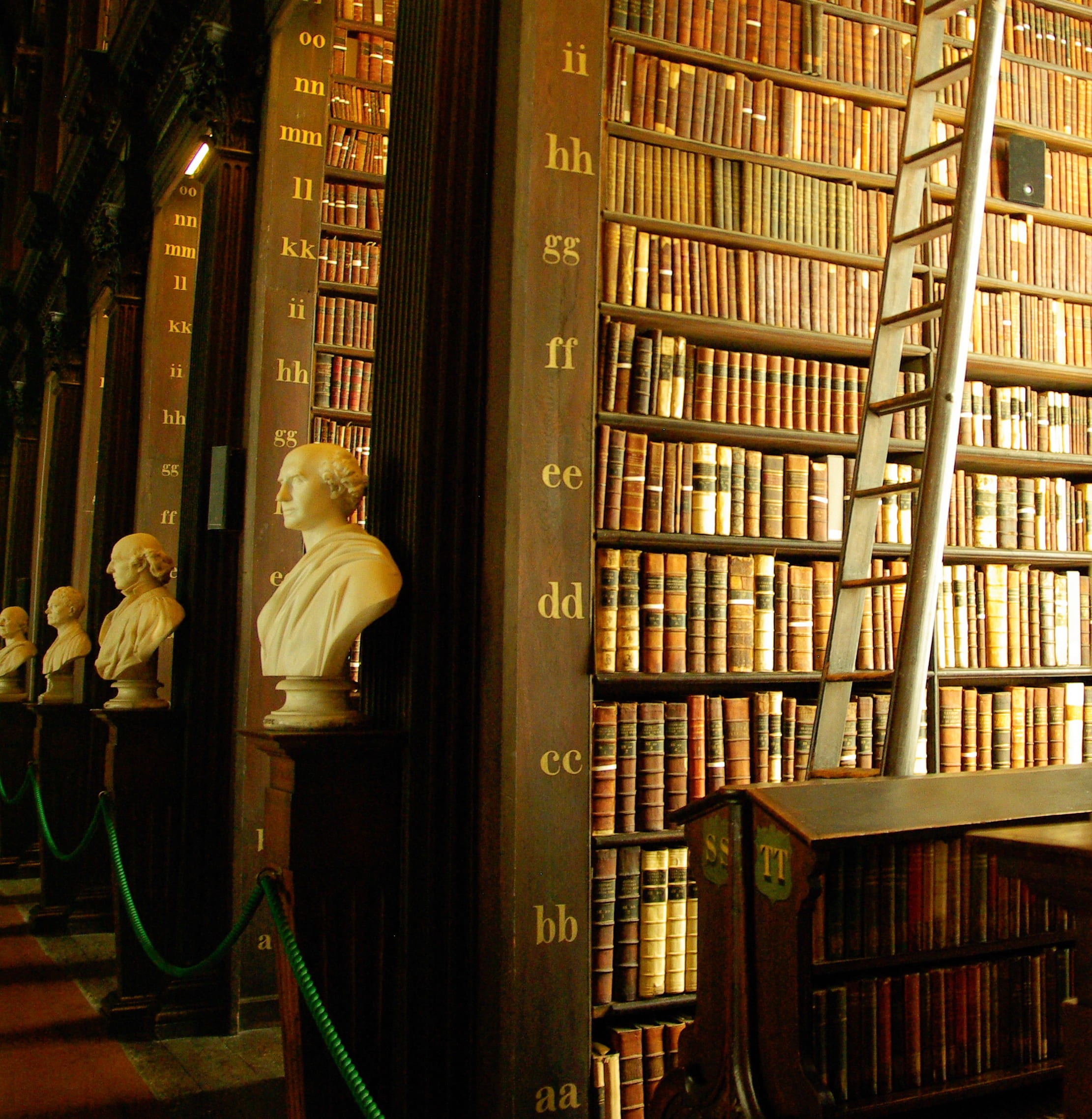 men, large group of objects, studying, people, books, shelf, scale, man, ireland, white, headbust, standing, book, publication, 1080P, literature, research, Phone HD Wallpaper