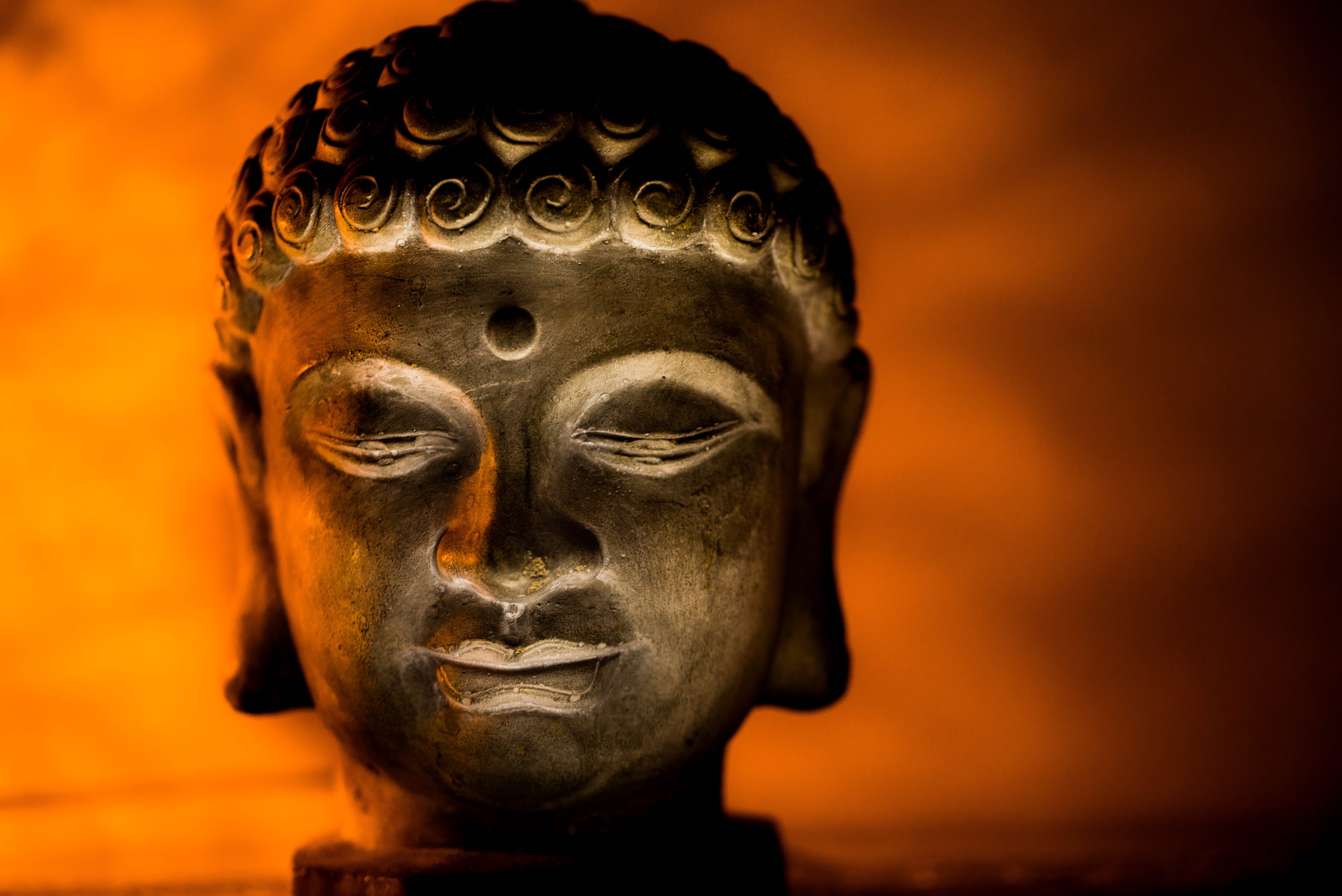 focus on foreground, statue, creativity, harmony, idol, art and craft, faith, zen, no people, religion, buddhism, close, belief, architecture, orange, asia, HD Wallpaper