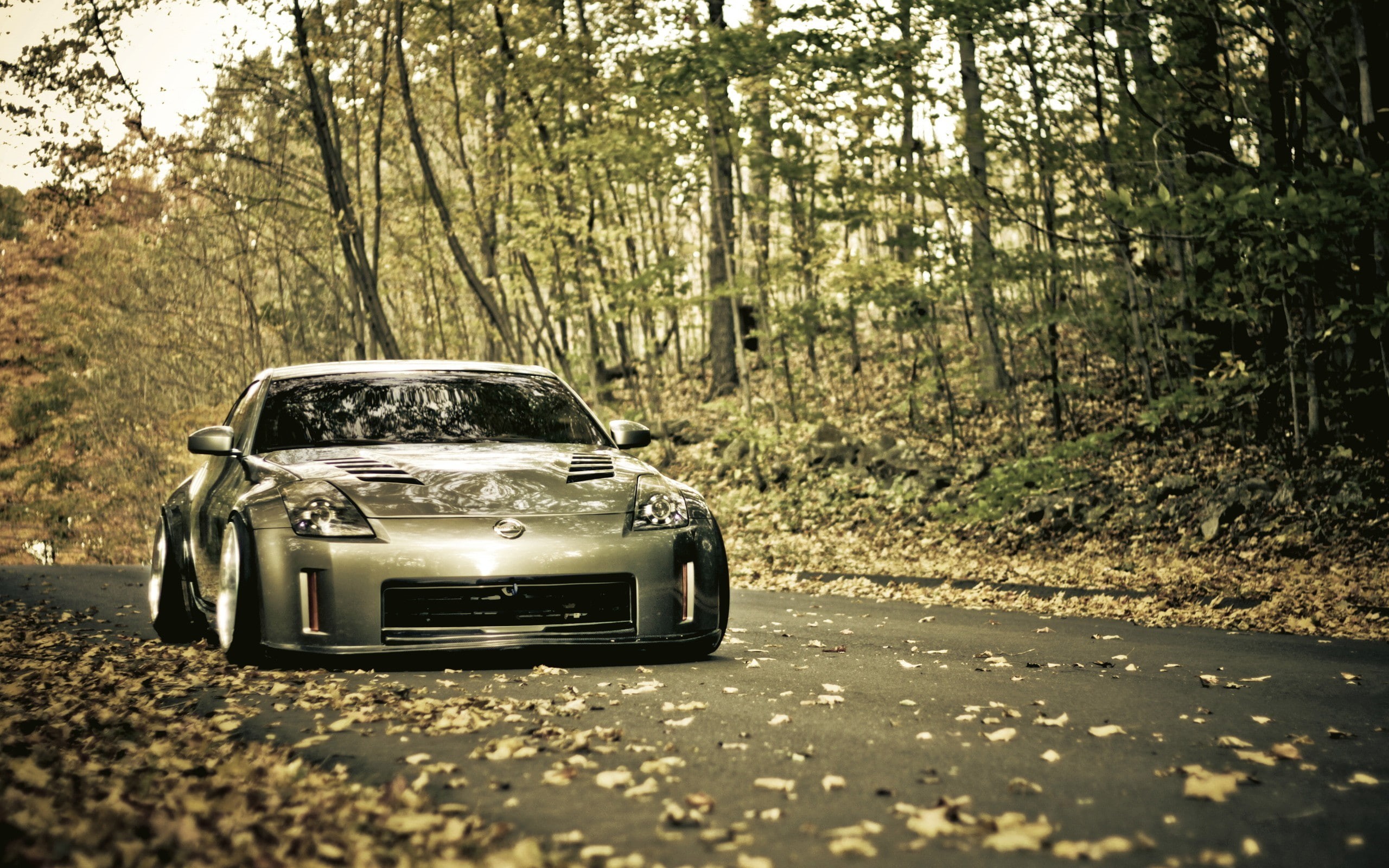 selective focus, tuning, car, forest, road, Nissan 350Z, the way forward, sunlight, day, nature, direction, 2K, plant, growth, motor vehicle, woodland, HD Wallpaper
