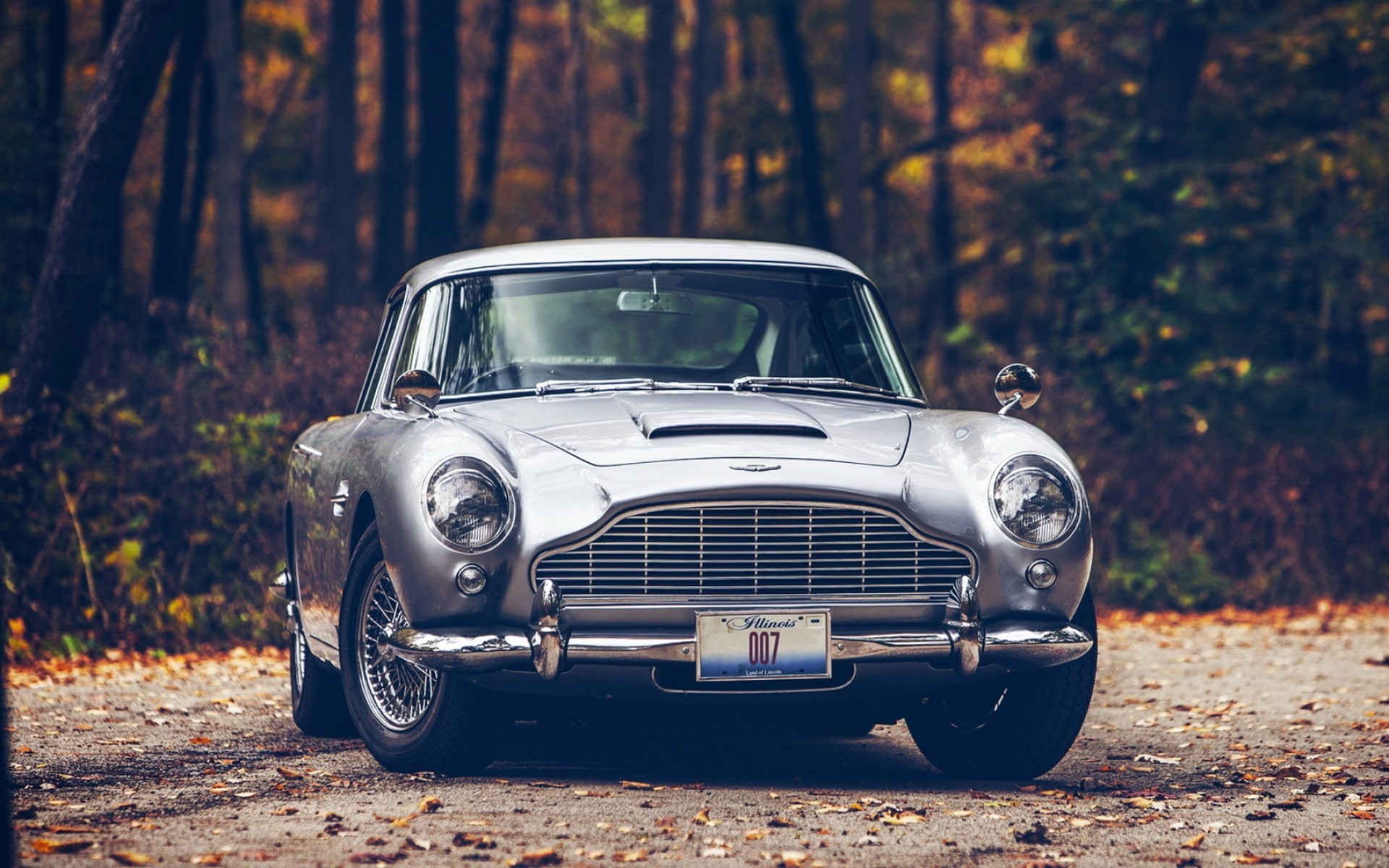 fall, Aston Martin DB5, road, James Bond, forest, 007, car, 1080P, Aston Martin, leaves, HD Wallpaper