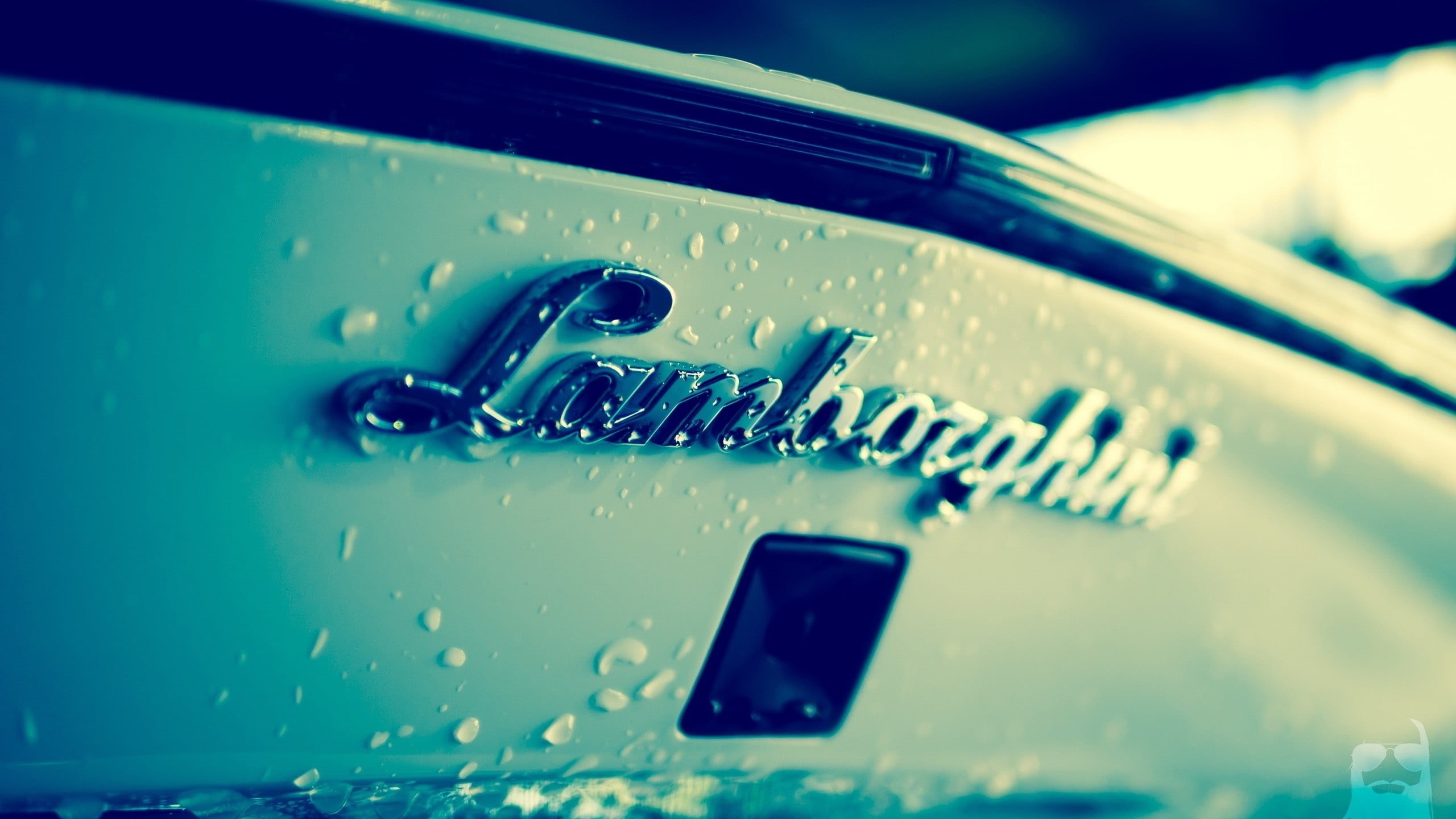 2K, chrome, connection, green color, motor vehicle, vehicle, car, wet, emblem, indoors, selective focus, water drops, focus on foreground, close-up, logo, HD Wallpaper